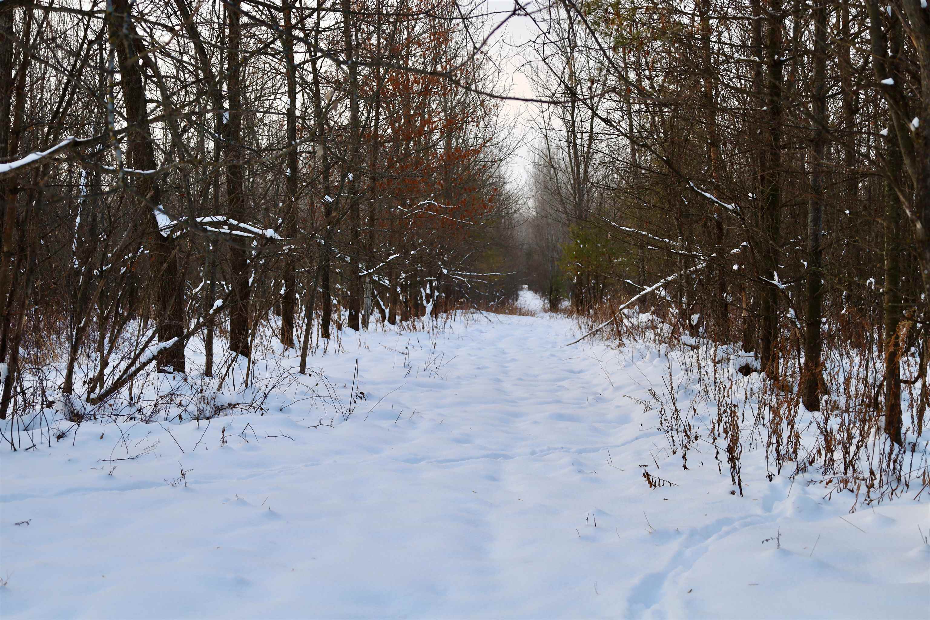 Tbd County Rd JJ Appleton, WI 54913 - Photo 30 of 45
