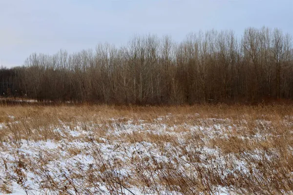 $625,000 | Tbd County Rd JJ, Appleton, WI 54913