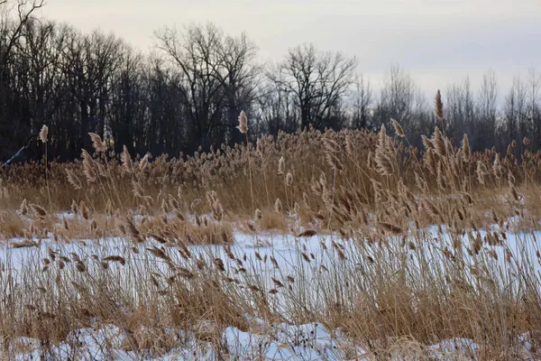 $625,000 | Tbd County Rd JJ, Appleton, WI 54913