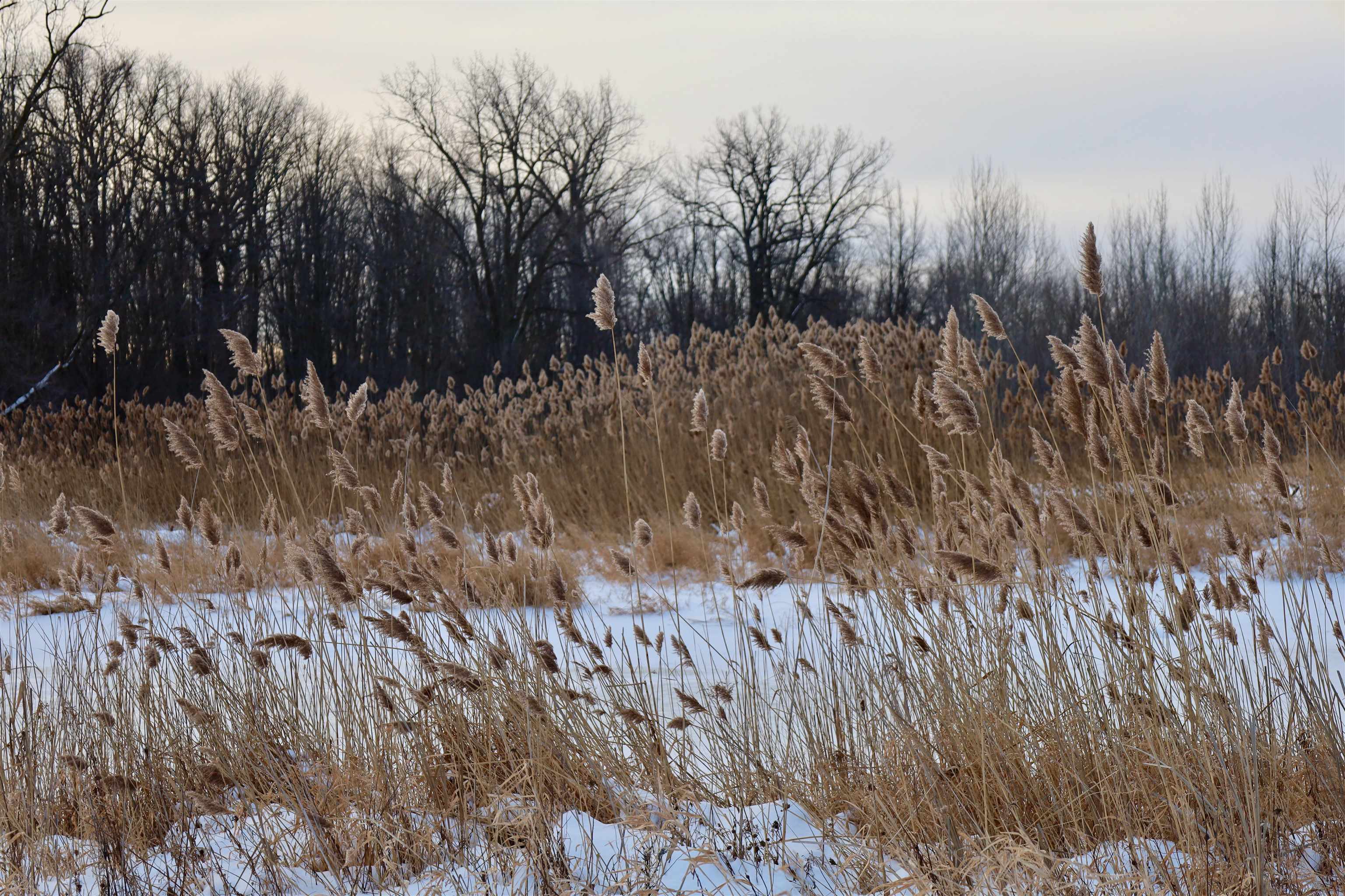 Tbd County Rd JJ Appleton, WI 54913 - Photo 37 of 45