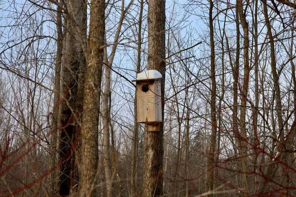 $625,000 | Tbd County Rd JJ, Appleton, WI 54913