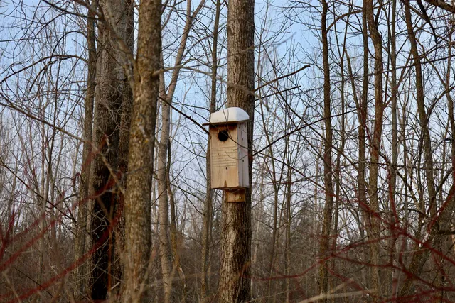 $625,000 | Tbd County Rd JJ, Appleton, WI 54913