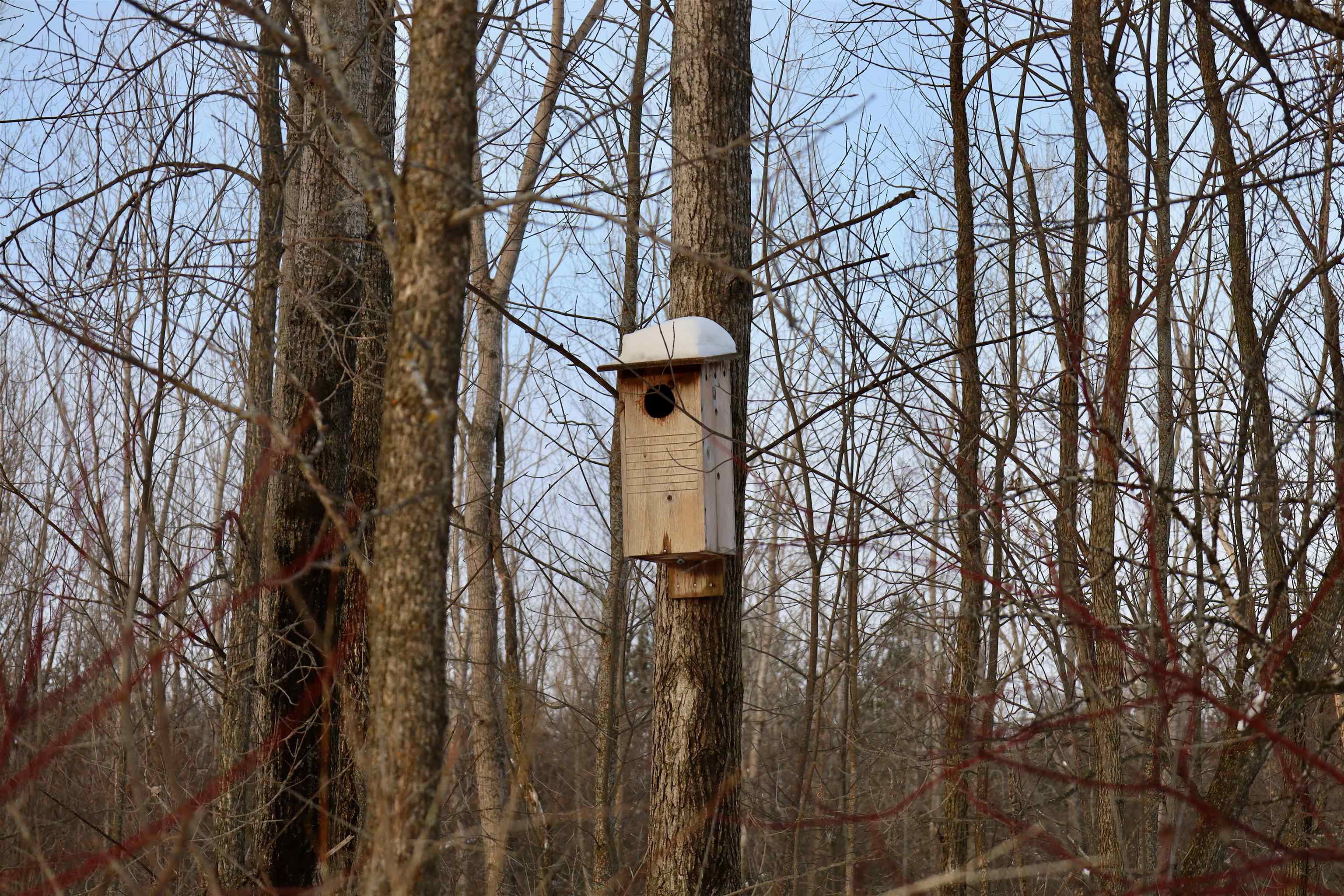 Tbd County Rd JJ Appleton, WI 54913 - Photo 38 of 45