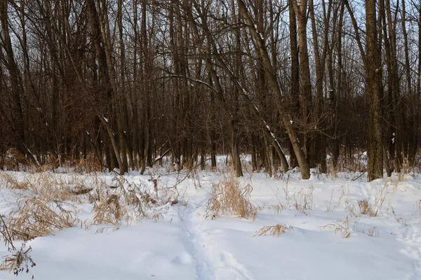 $625,000 | Tbd County Rd JJ, Appleton, WI 54913