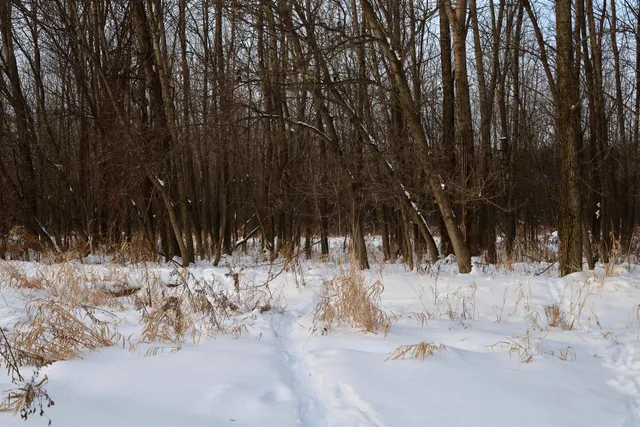 $625,000 | Tbd County Rd JJ, Appleton, WI 54913