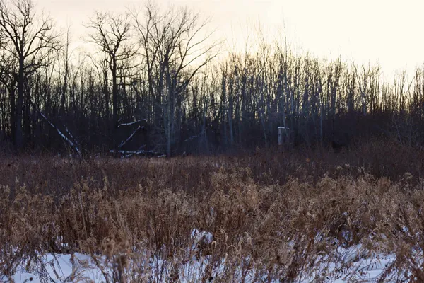 $625,000 | Tbd County Rd JJ, Appleton, WI 54913