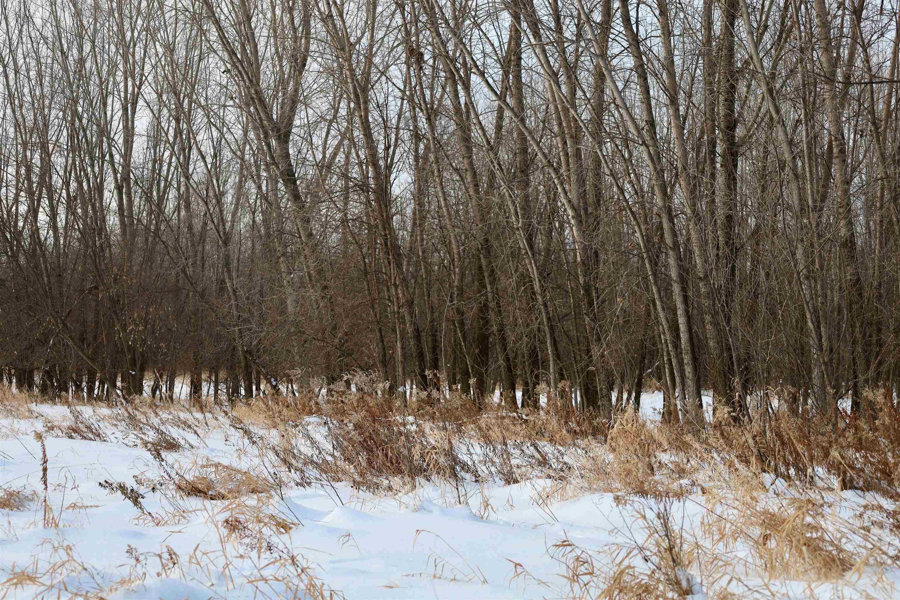 Tbd County Rd JJ Appleton, WI 54913 - Photo 41 of 45