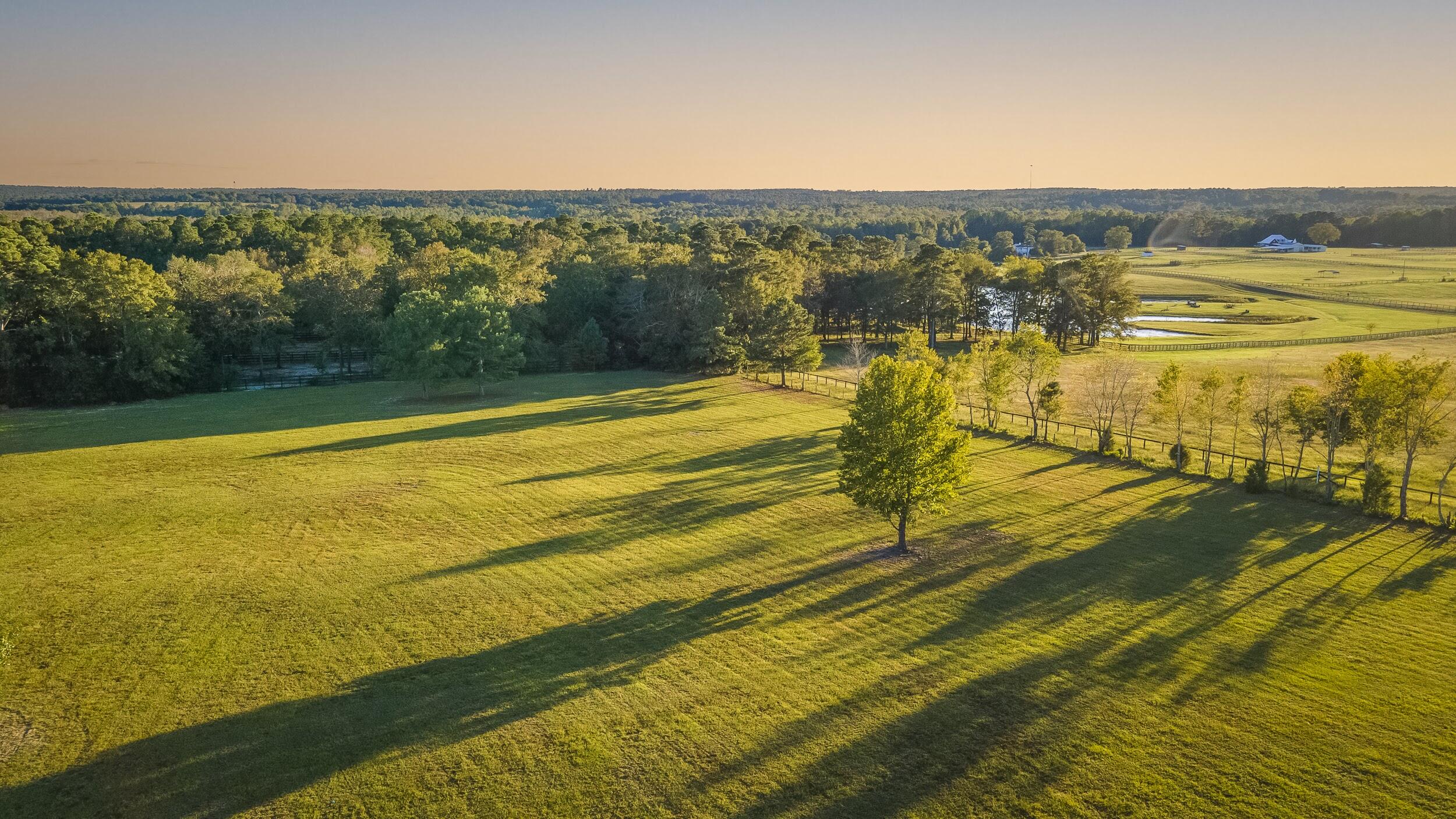 0 Wagener Road Aiken, SC 29805 - Photo 13 of 39