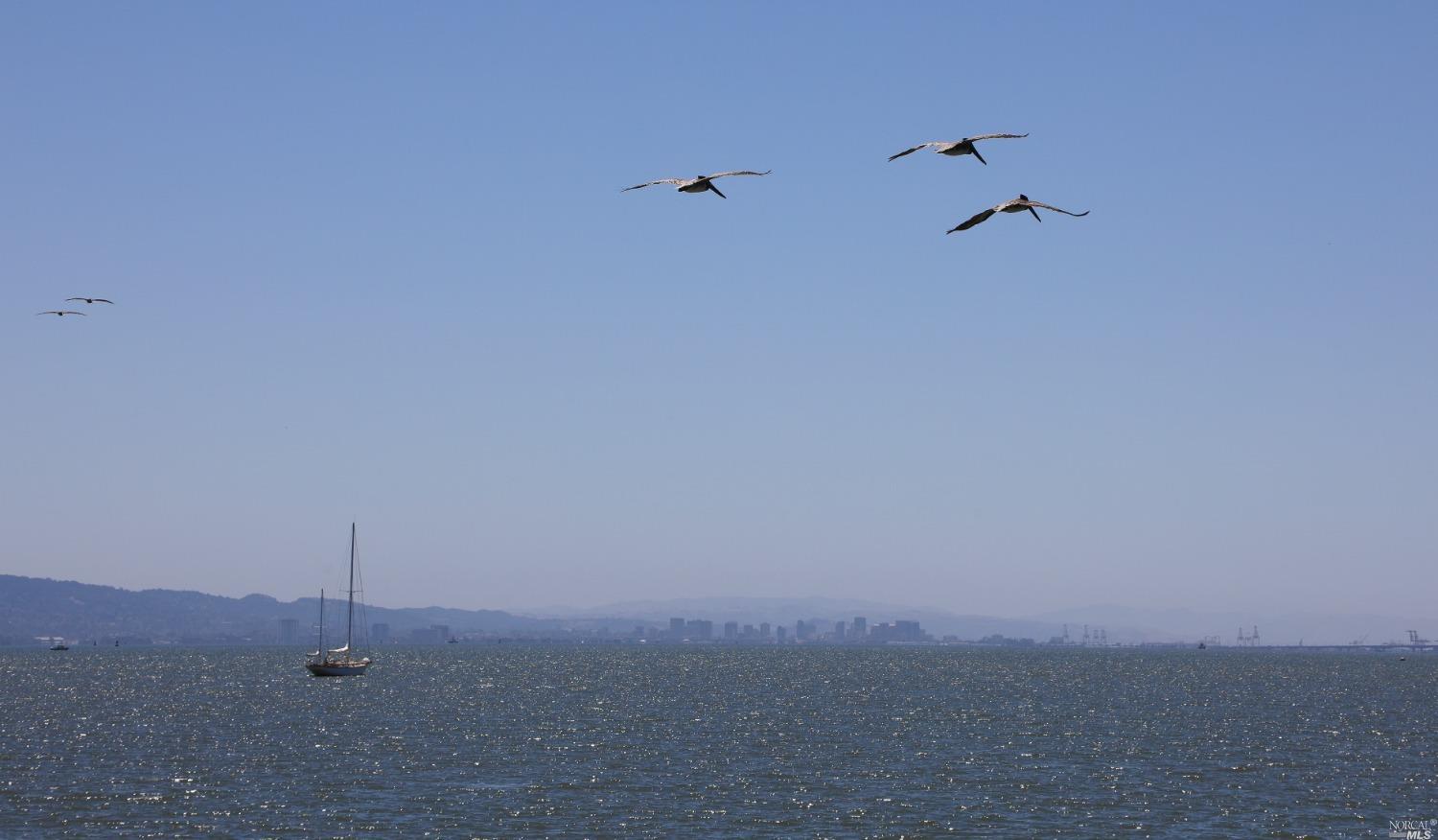 79 St Thomas Way Tiburon, CA 94920 - Photo 58 of 67