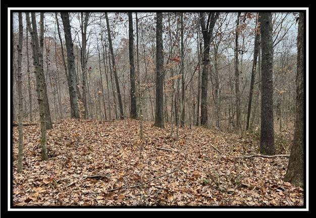 35887 Buck Run Road, Unit TRACT 7 Langsville, OH 45741 - Photo 26 of 37 image026