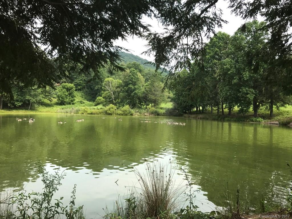 40 Moores Pond Road Fairview, NC 28730 - Photo 14 of 24 Gallery Image 14