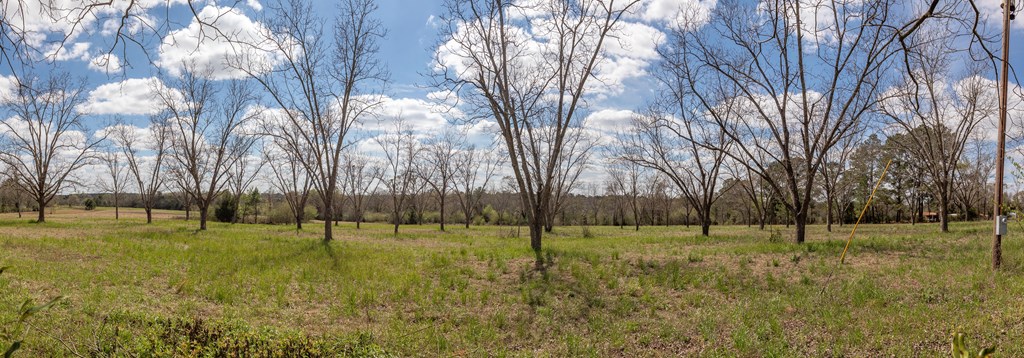 4490 Kinsey Road Dothan, AL 36303 - Photo 25 of 71