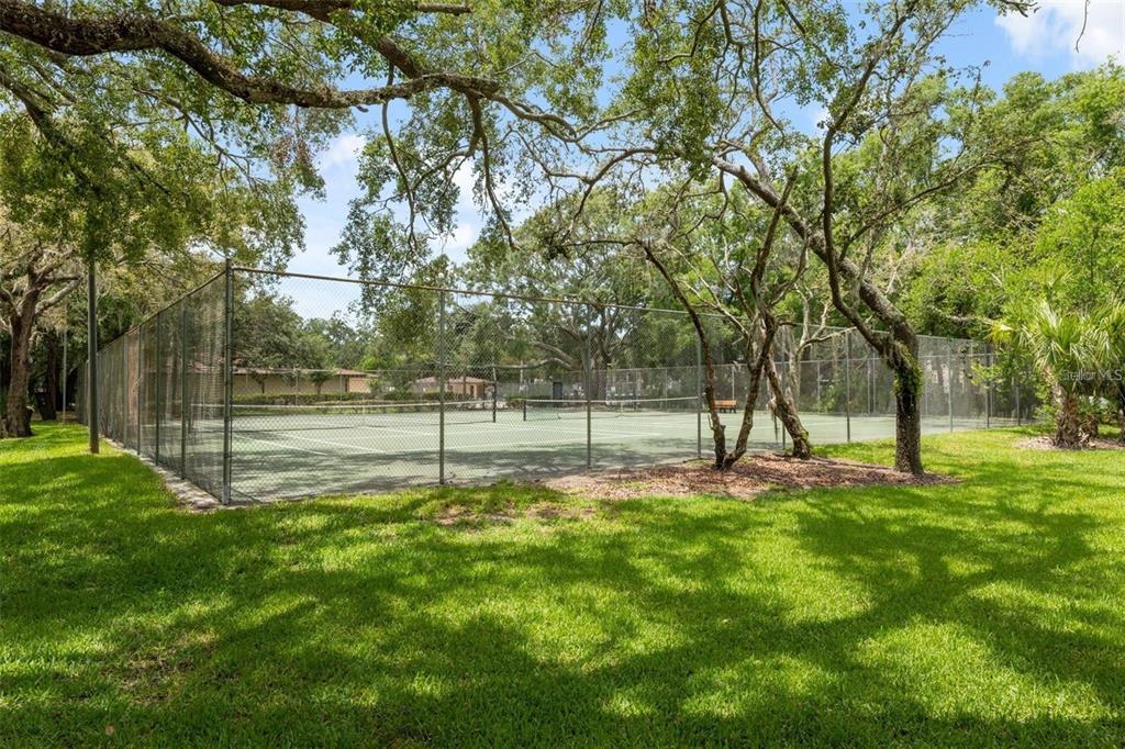 11707 Raintree Village Boulevard, Unit C Temple Terrace, FL 33617 - Photo 22 of 24