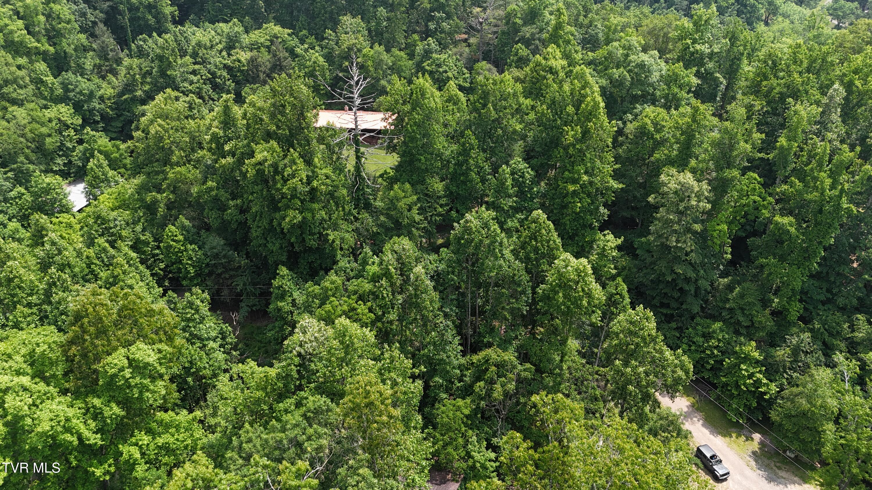 1 Atwood Point Butler, TN 37640 - Photo 17 of 43 dji_fly_20250604_145908_0116_17490637408