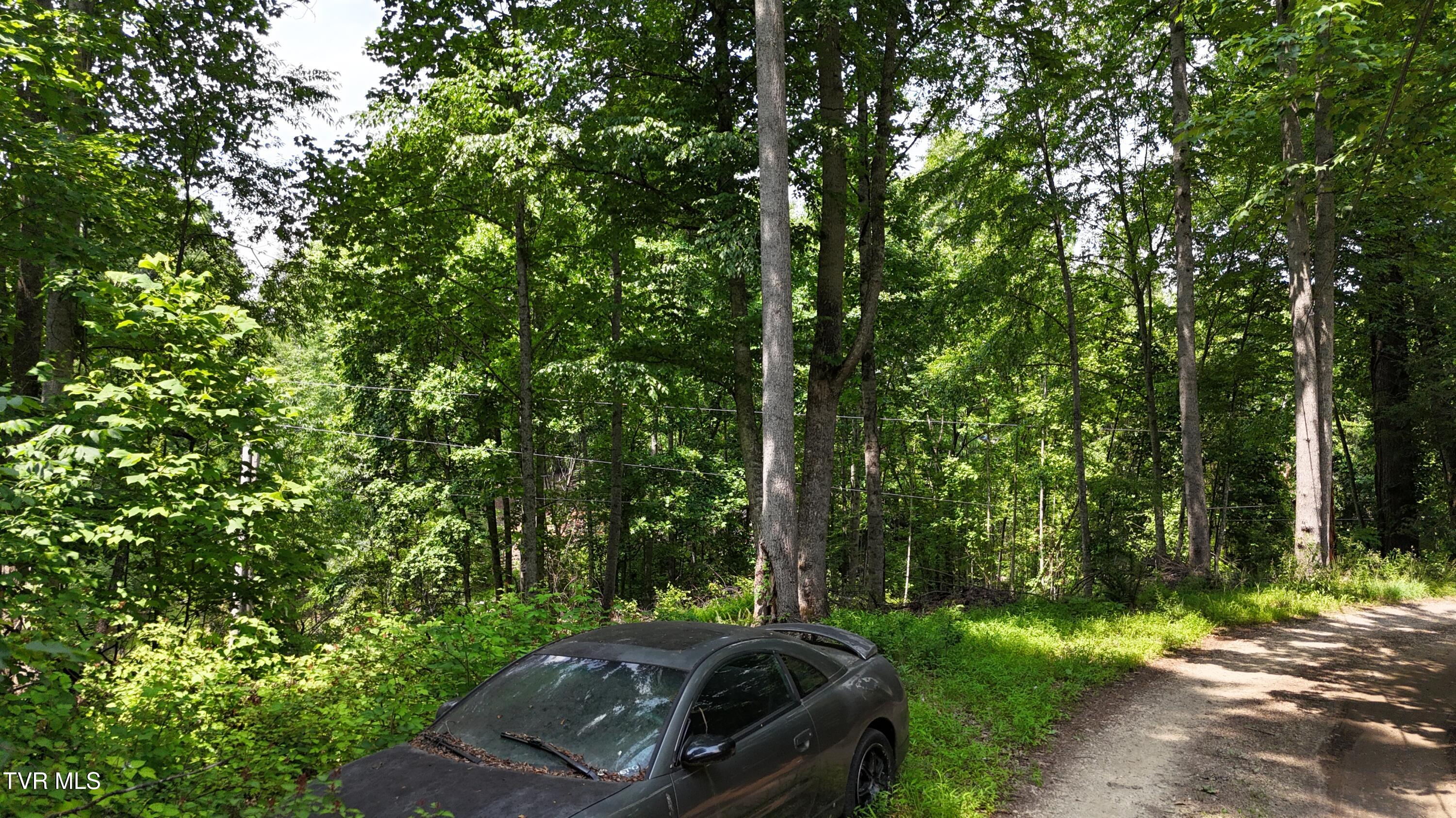 1 Atwood Point Butler, TN 37640 - Photo 19 of 43 dji_fly_20250604_150030_0119_17490637374