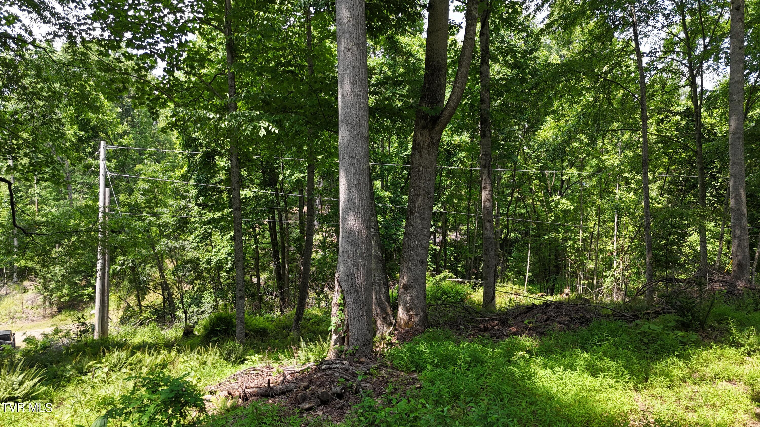 1 Atwood Point Butler, TN 37640 - Photo 20 of 43 dji_fly_20250604_150040_0120_17490637358