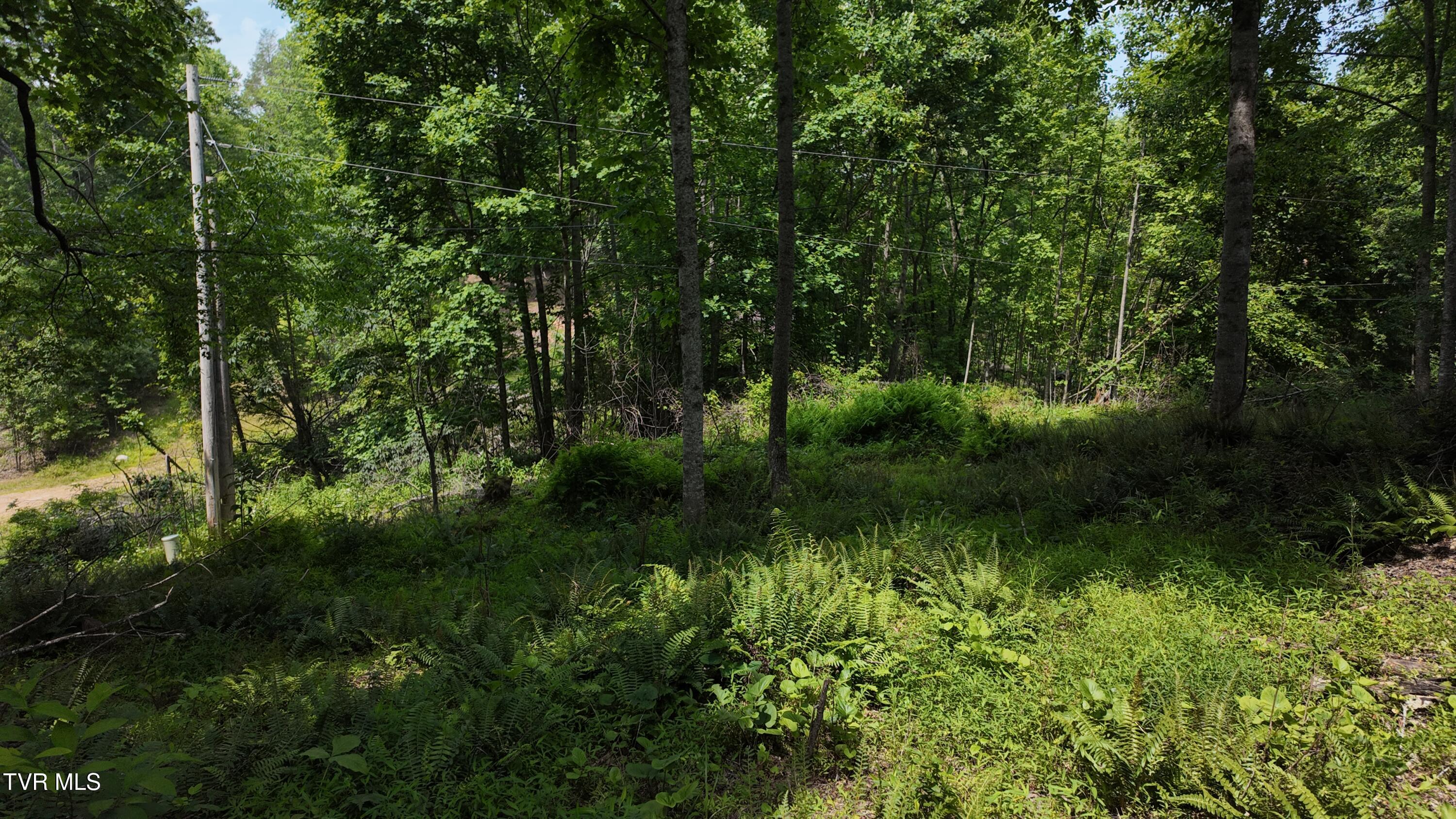 1 Atwood Point Butler, TN 37640 - Photo 2 of 43 dji_mimo_20250604_150506_20250604150505_