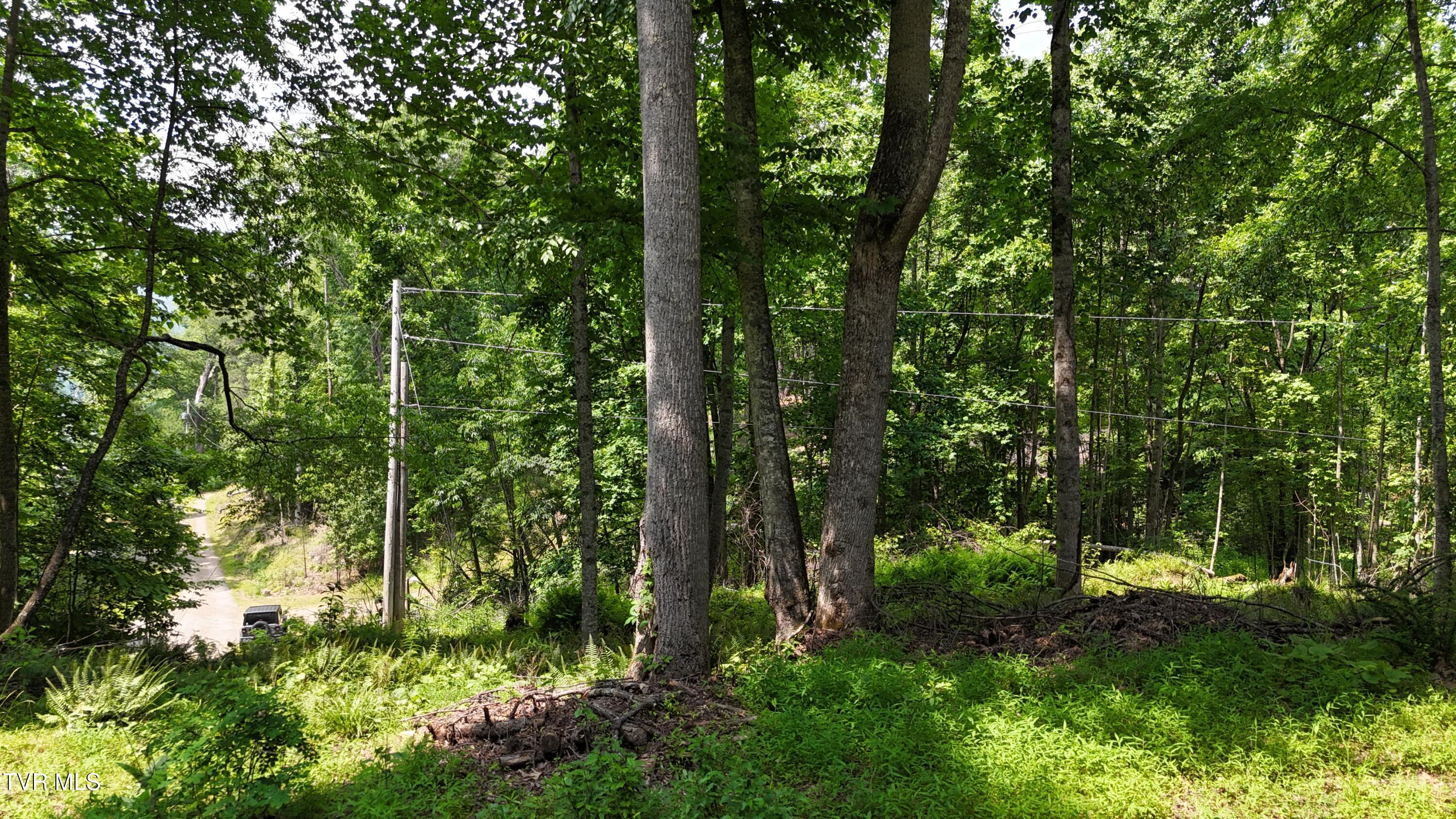 1 Atwood Point Butler, TN 37640 - Photo 21 of 43 dji_fly_20250604_150044_0121_17490637352