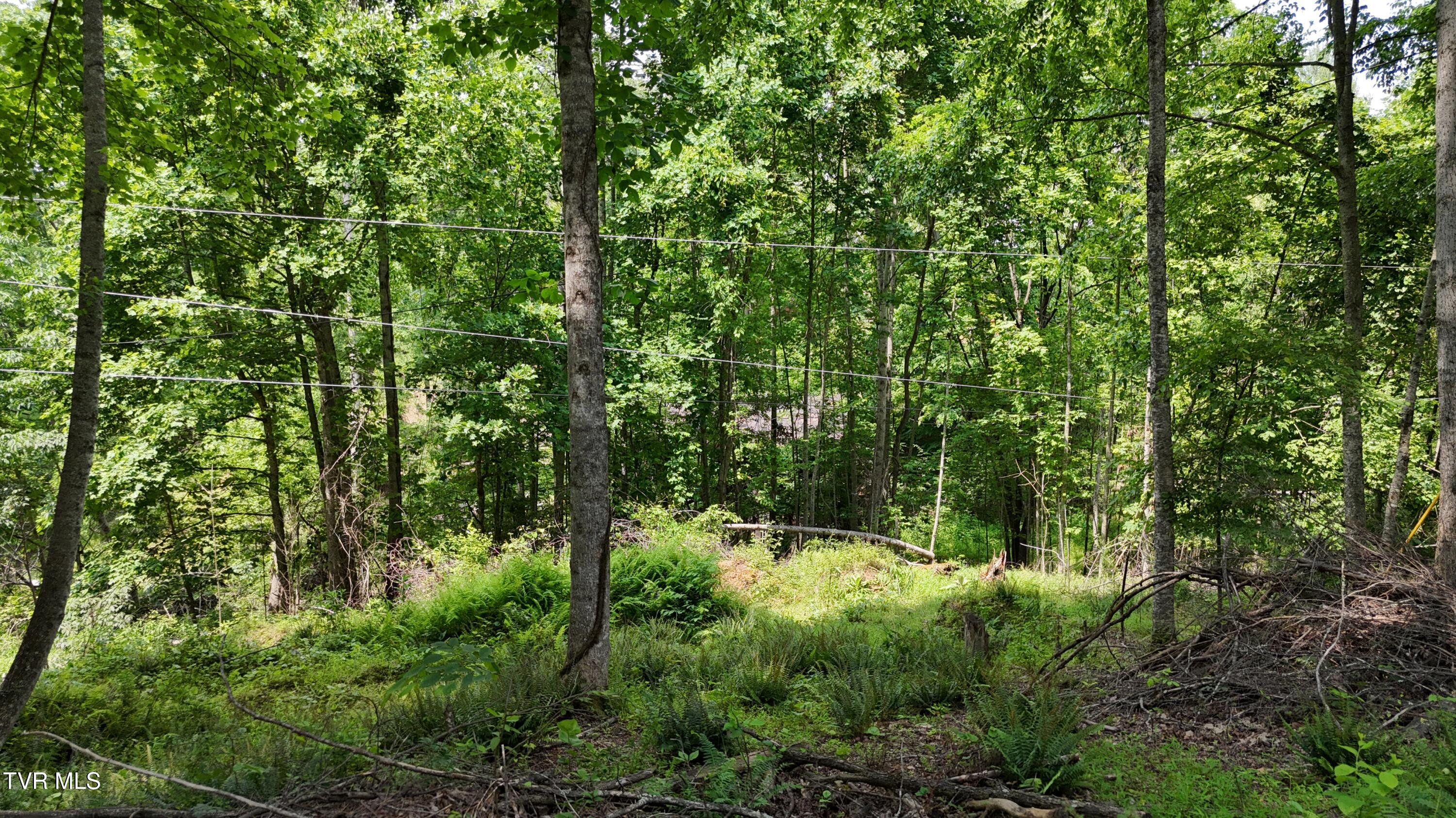 1 Atwood Point Butler, TN 37640 - Photo 22 of 43 dji_fly_20250604_150048_0122_17490637342