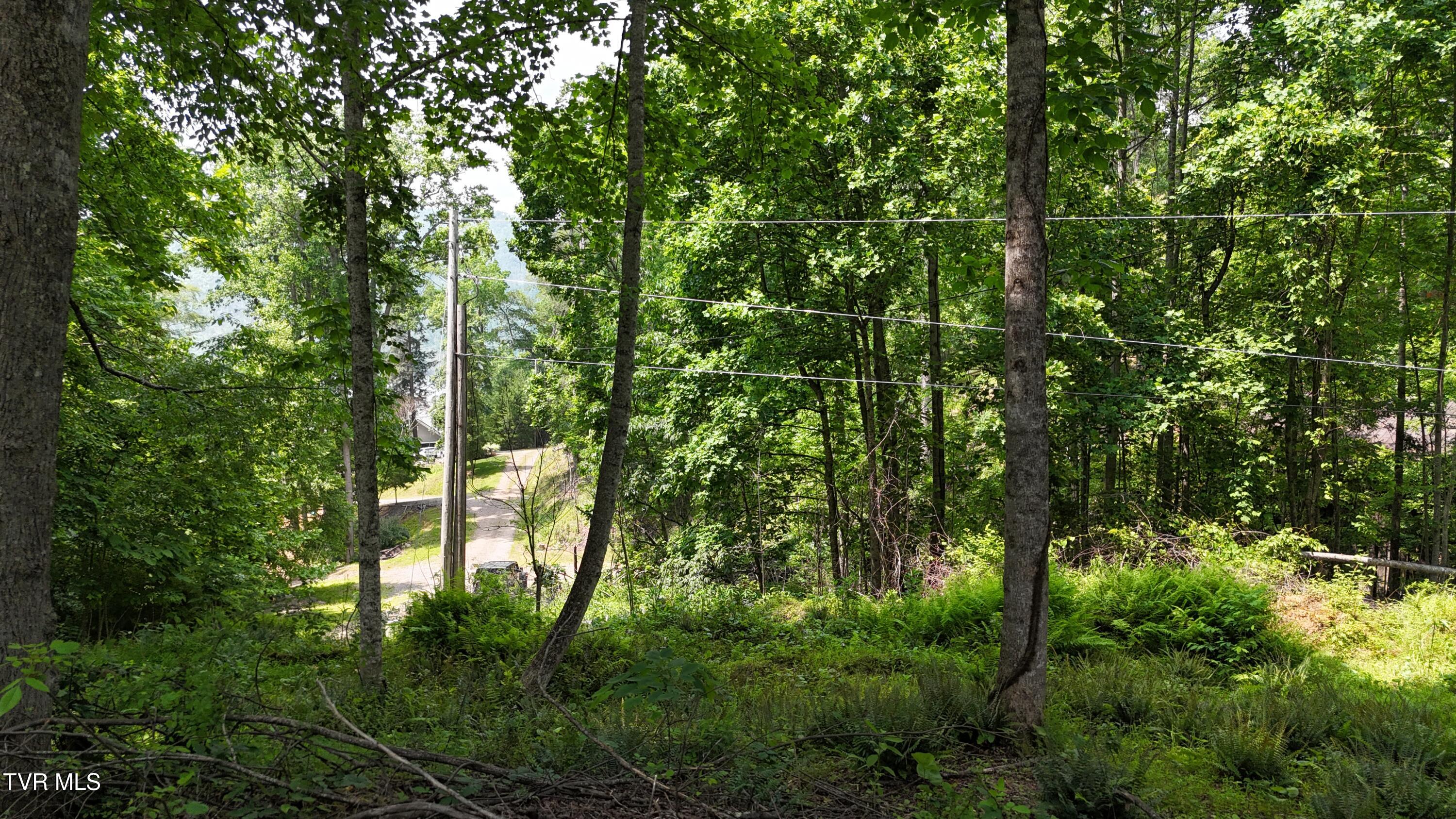 1 Atwood Point Butler, TN 37640 - Photo 23 of 43 dji_fly_20250604_150054_0123_17490637331