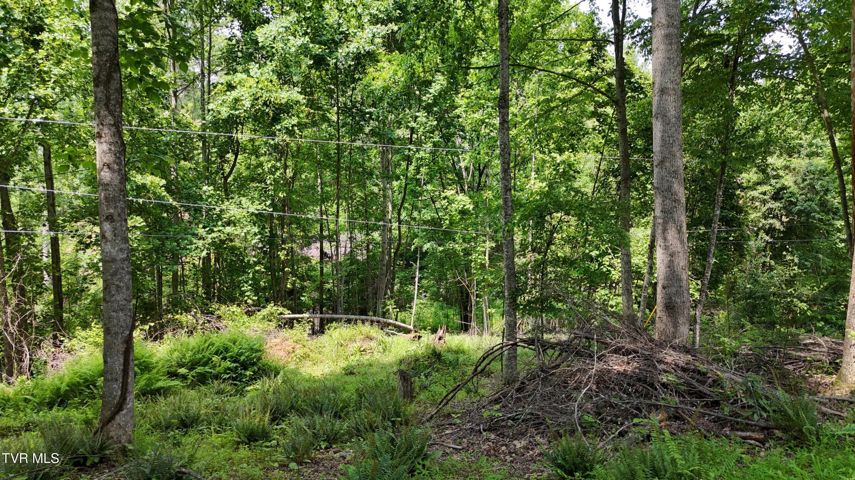 1 Atwood Point Butler, TN 37640 - Photo 24 of 43 dji_fly_20250604_150104_0124_17490637322