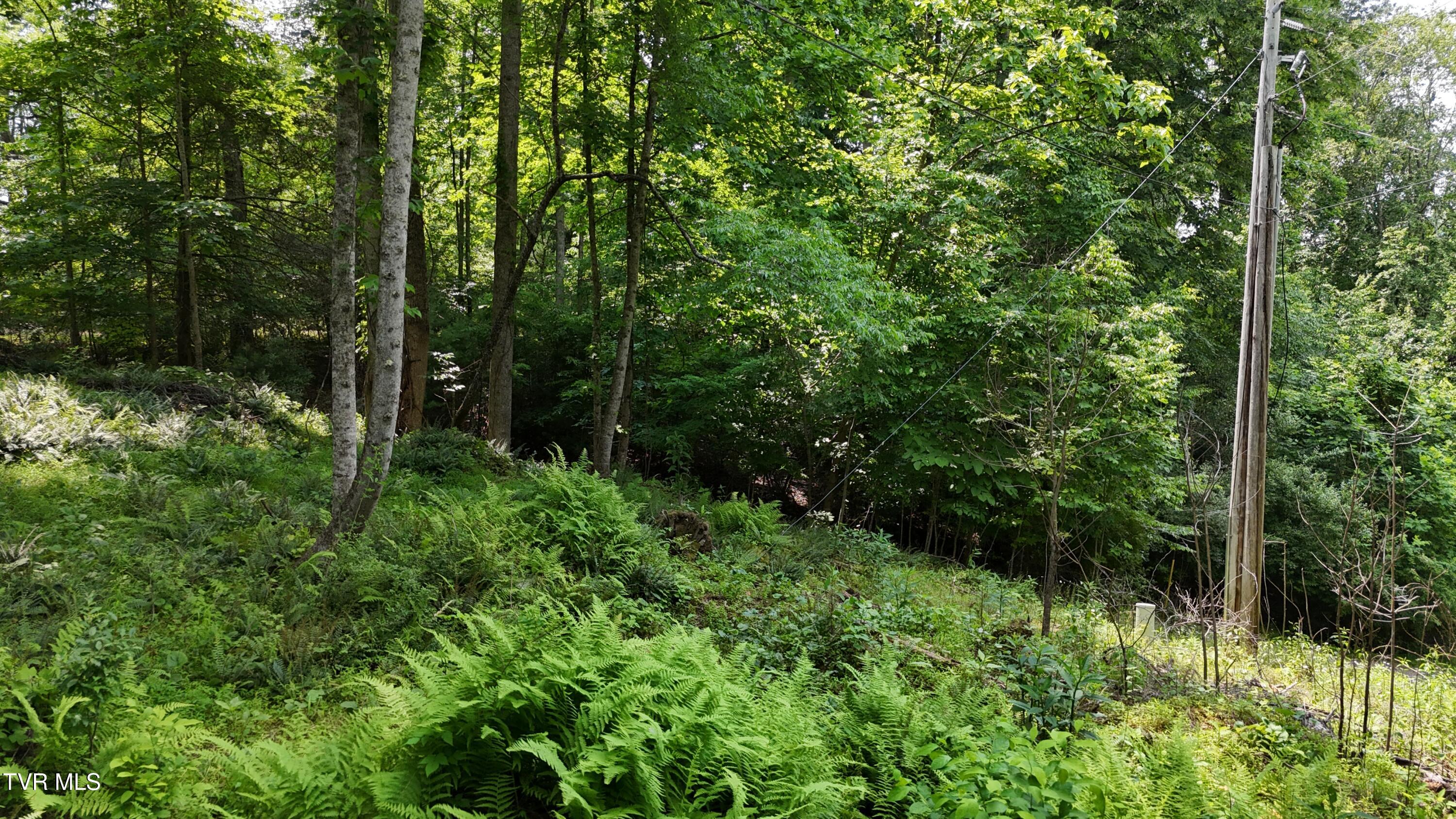 1 Atwood Point Butler, TN 37640 - Photo 25 of 43 dji_fly_20250604_150118_0126_17490637300