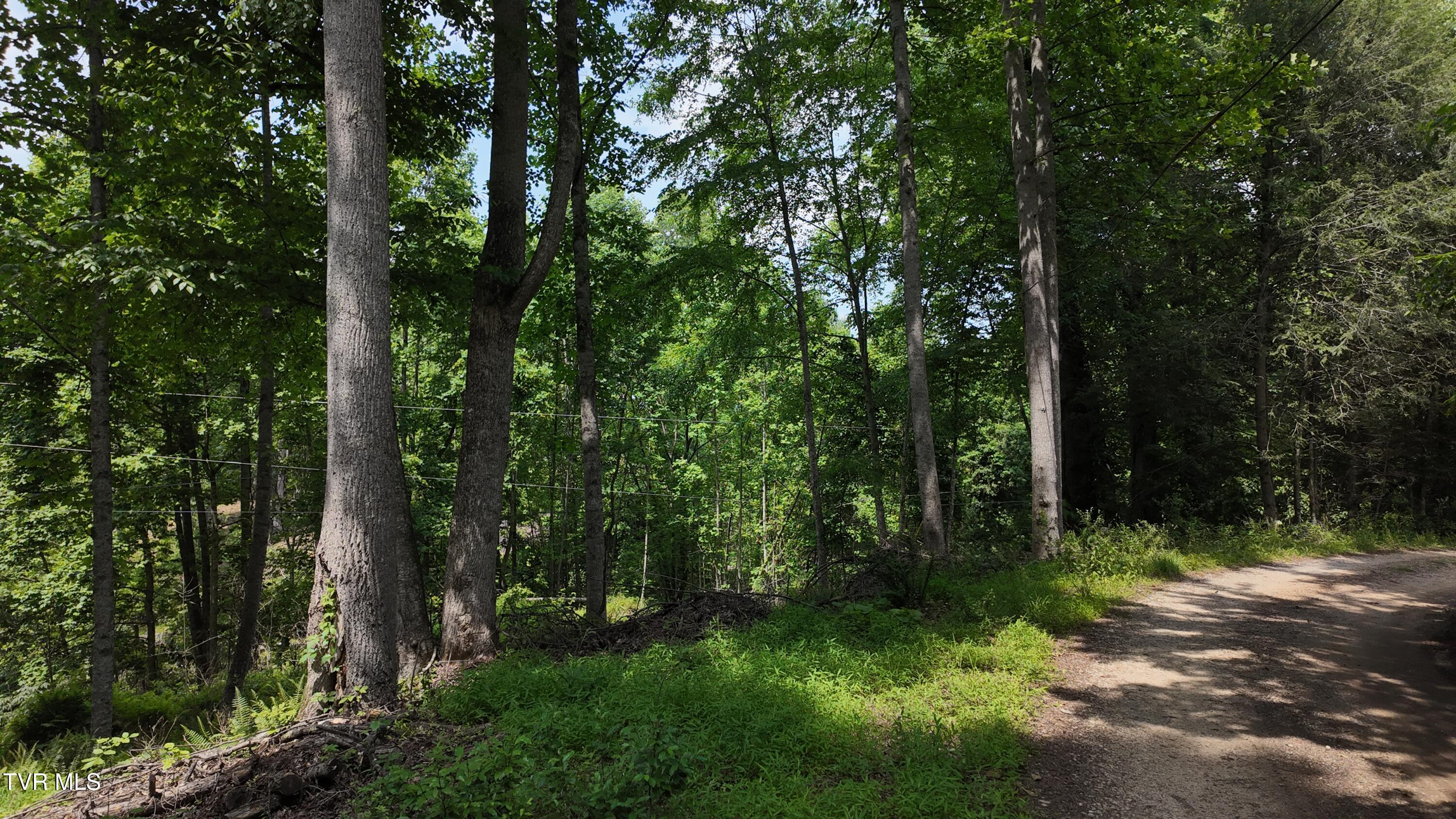 1 Atwood Point Butler, TN 37640 - Photo 3 of 43 dji_mimo_20250604_150448_20250604150448_