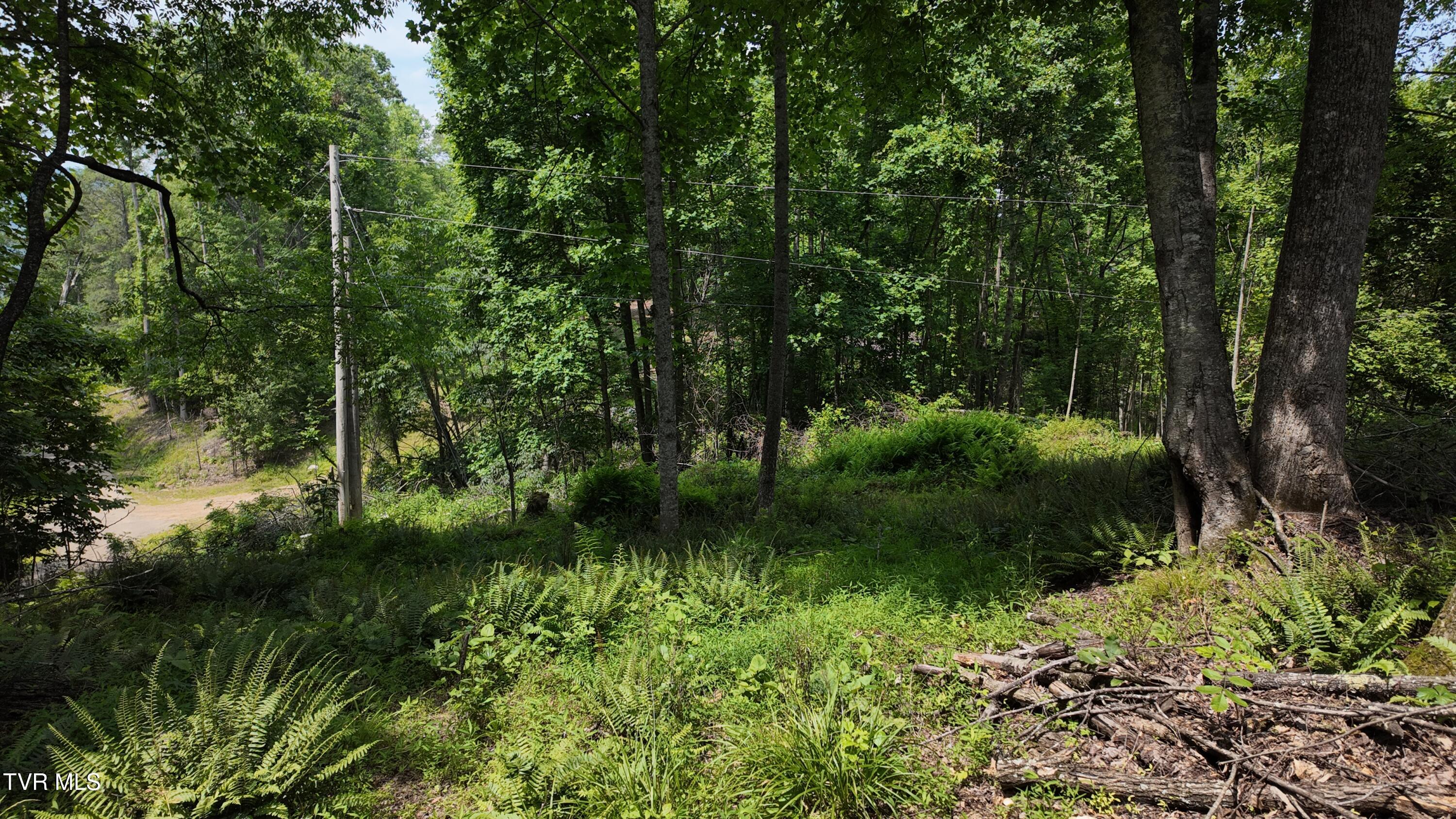 1 Atwood Point Butler, TN 37640 - Photo 31 of 43 dji_mimo_20250604_150458_20250604150457_