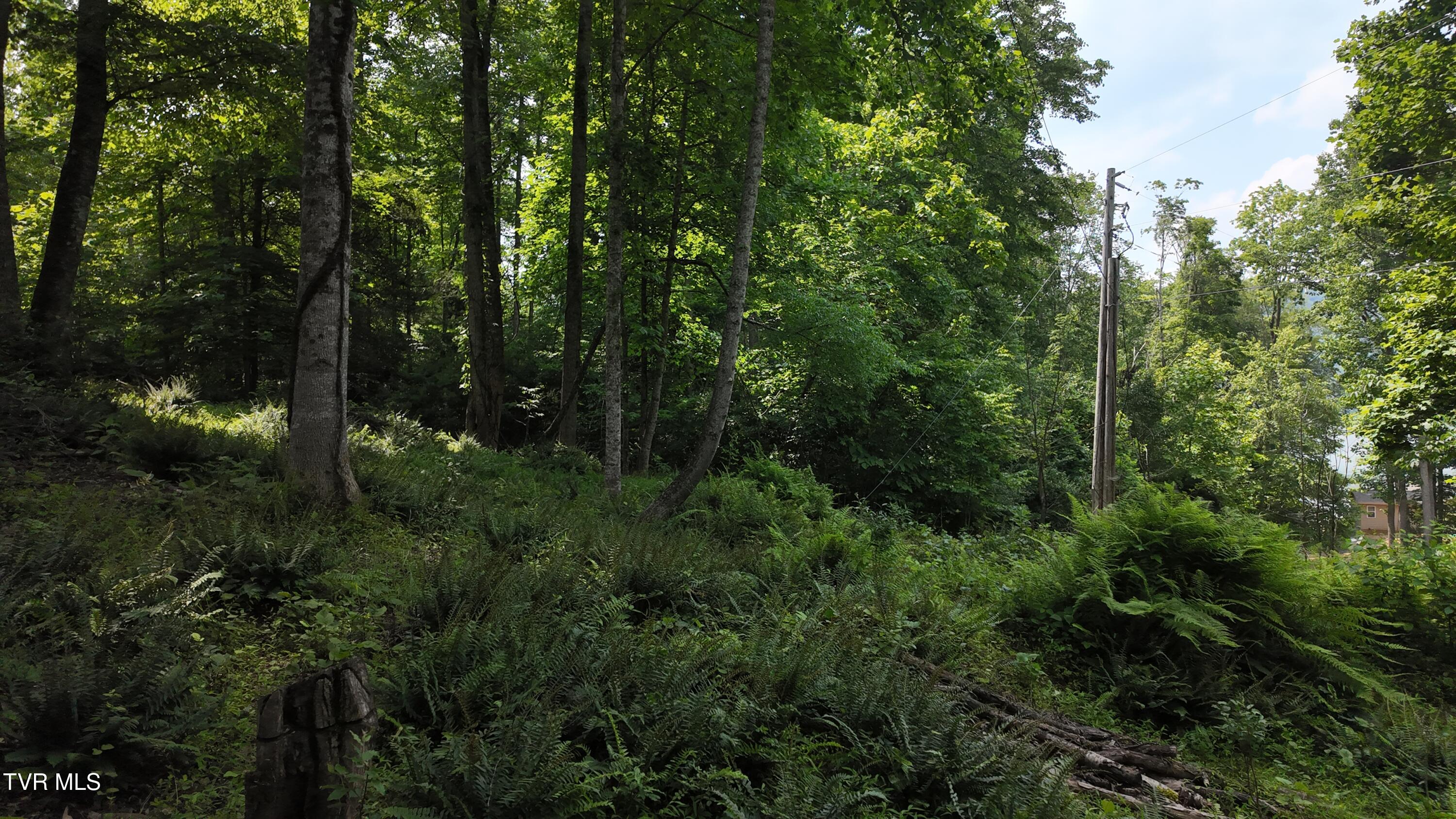 1 Atwood Point Butler, TN 37640 - Photo 32 of 43 dji_mimo_20250604_150636_20250604150637_