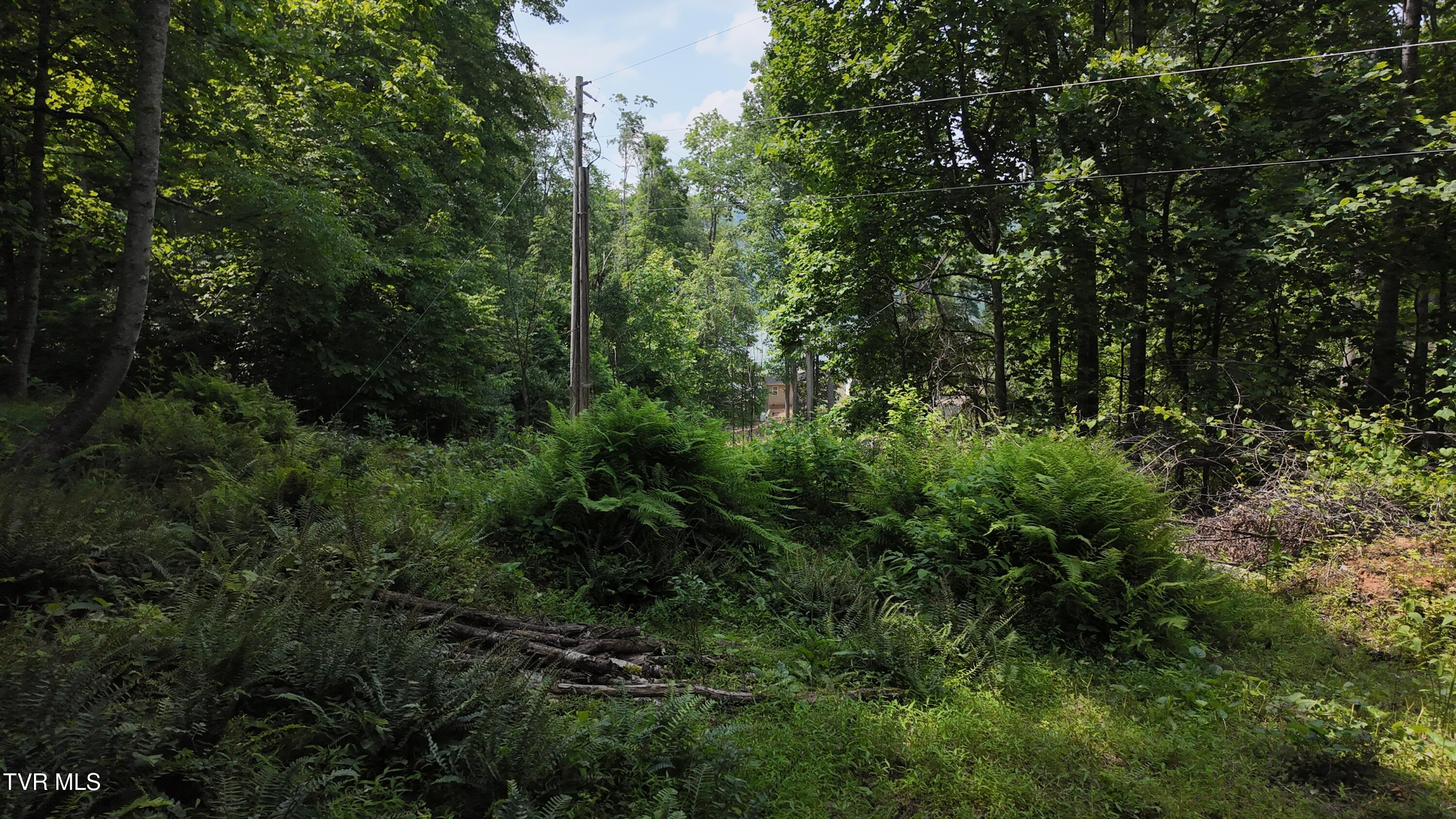 1 Atwood Point Butler, TN 37640 - Photo 33 of 43 dji_mimo_20250604_150632_20250604150631_