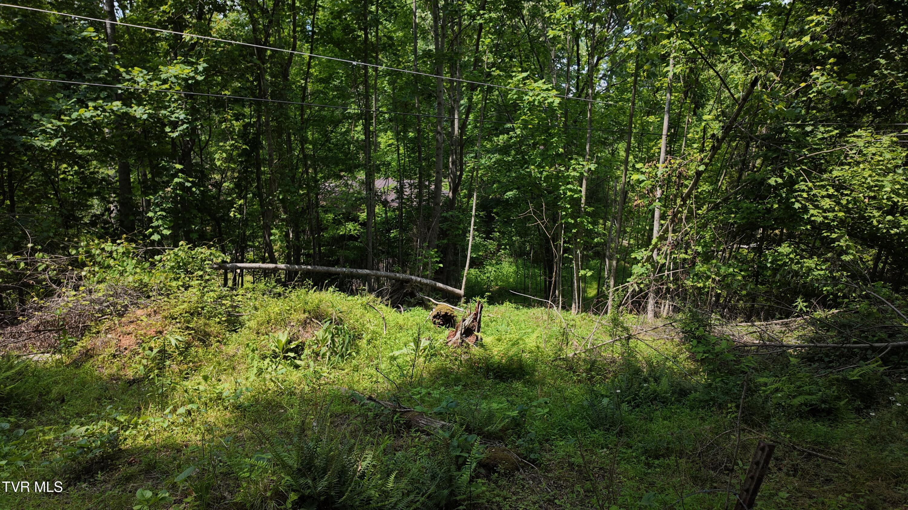 1 Atwood Point Butler, TN 37640 - Photo 34 of 43 dji_mimo_20250604_150628_20250604150629_