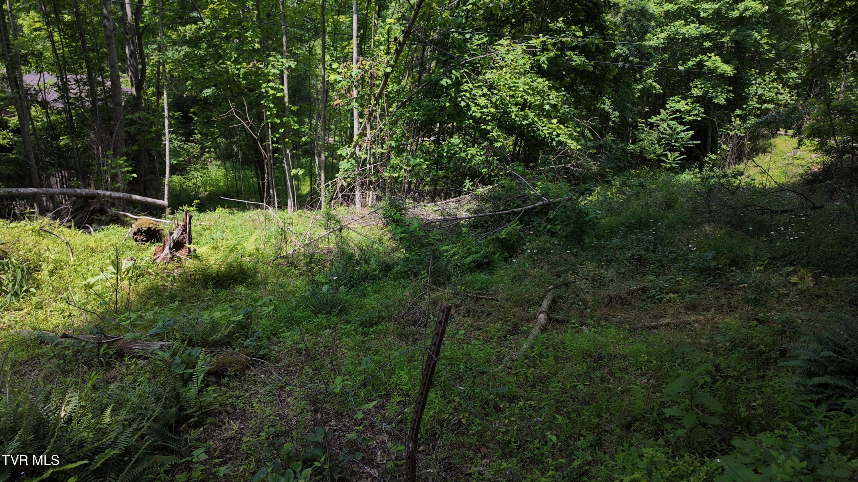 1 Atwood Point Butler, TN 37640 - Photo 35 of 43 dji_mimo_20250604_150626_20250604150625_