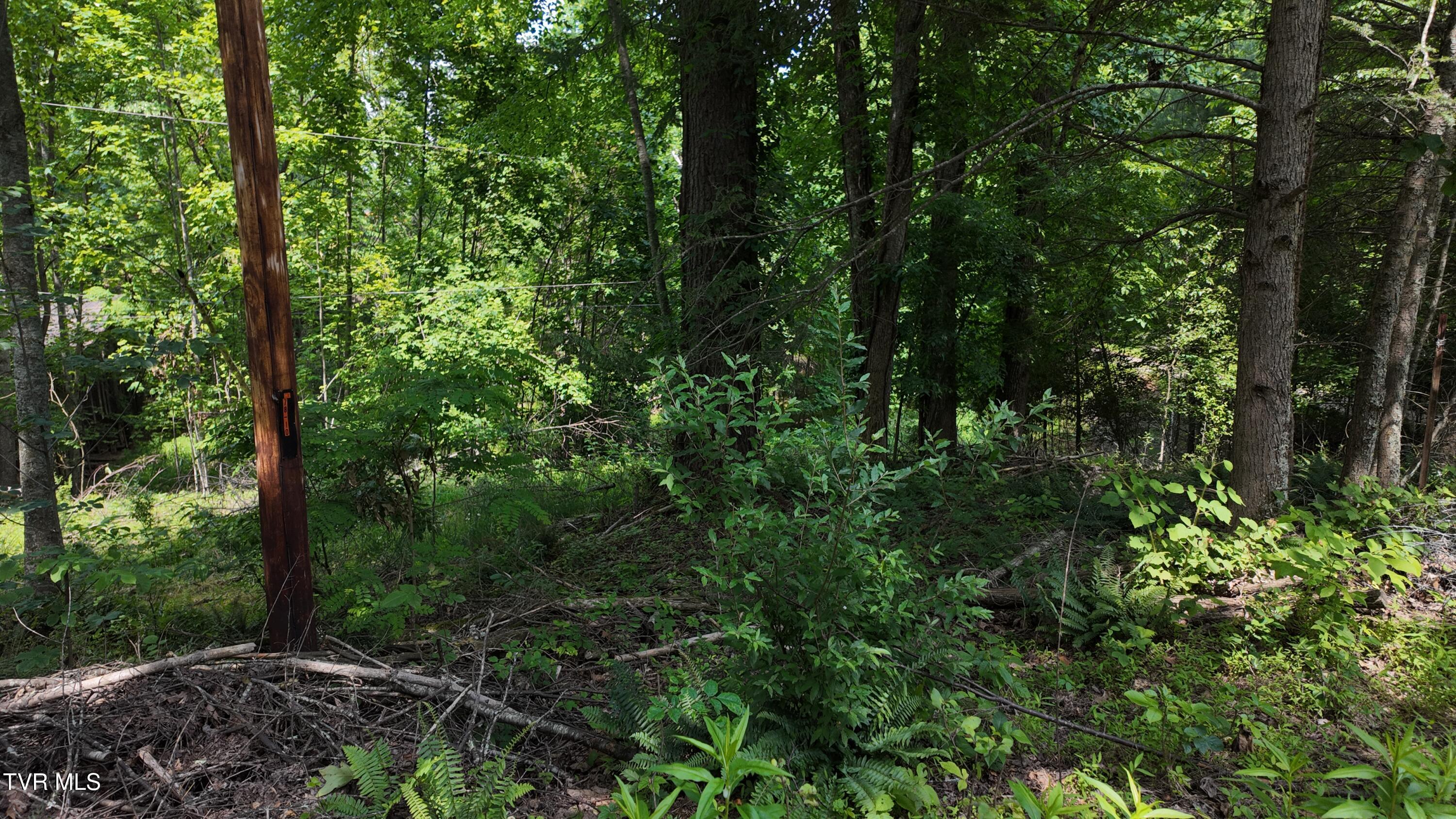 1 Atwood Point Butler, TN 37640 - Photo 36 of 43 dji_mimo_20250604_150604_20250604150605_