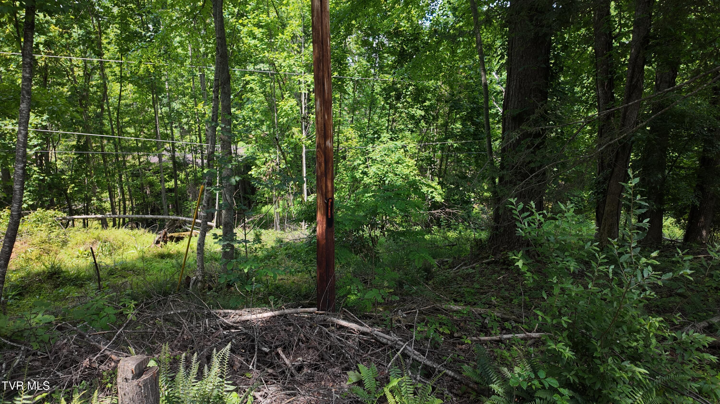 1 Atwood Point Butler, TN 37640 - Photo 37 of 43 dji_mimo_20250604_150604_20250604150603_