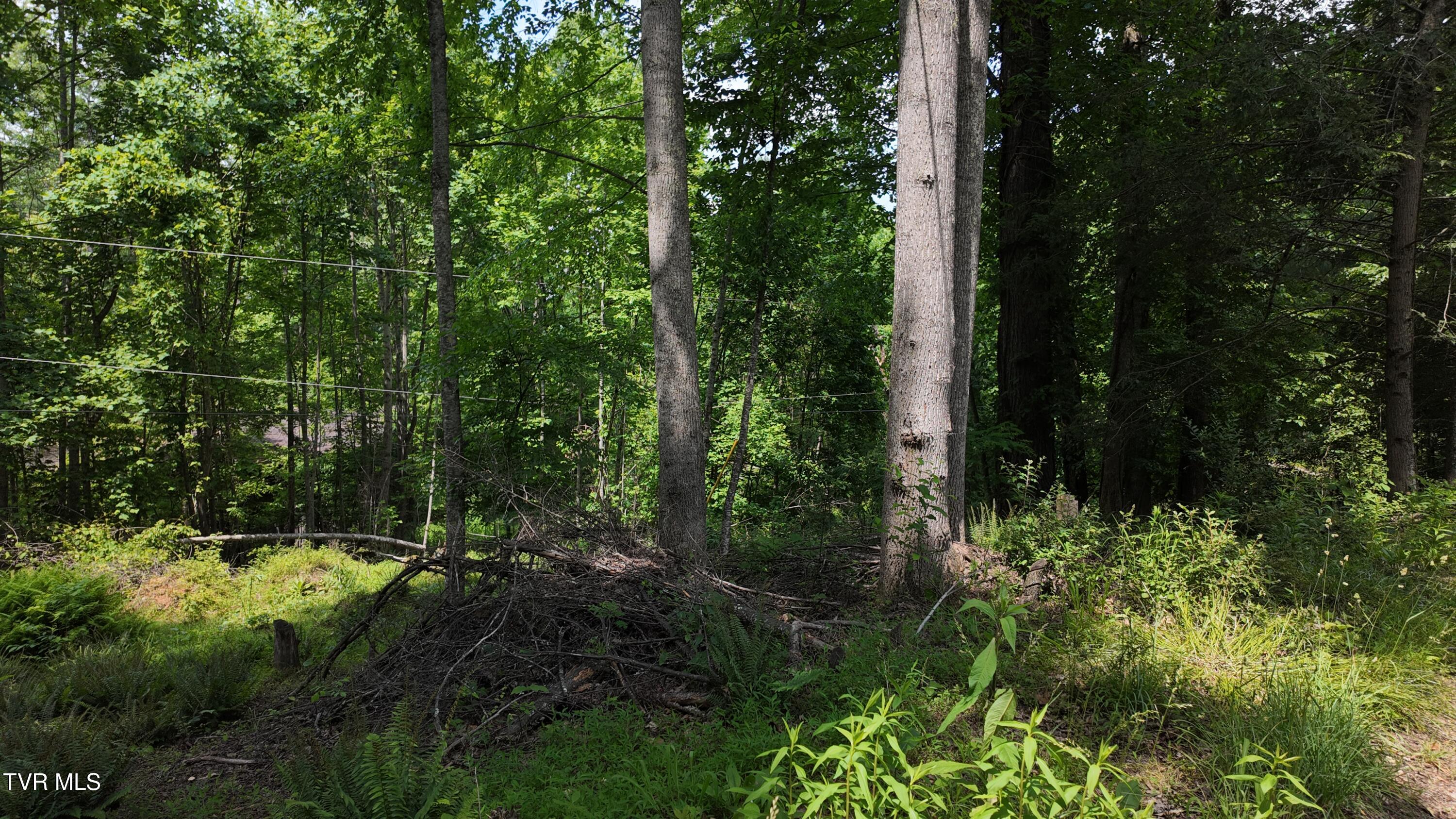 1 Atwood Point Butler, TN 37640 - Photo 38 of 43 dji_mimo_20250604_150552_20250604150553_