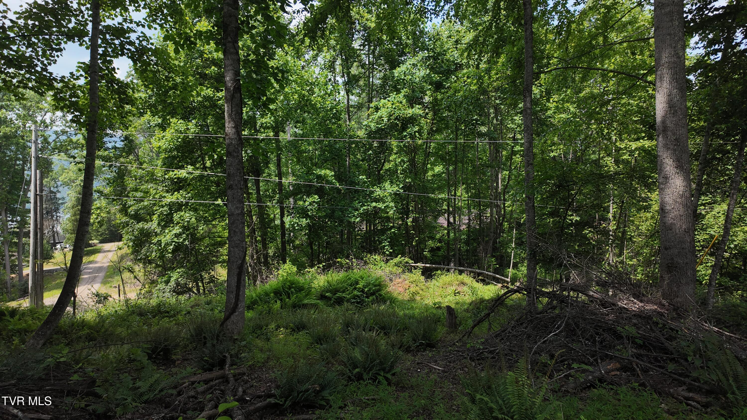 1 Atwood Point Butler, TN 37640 - Photo 39 of 43 dji_mimo_20250604_150550_20250604150550_