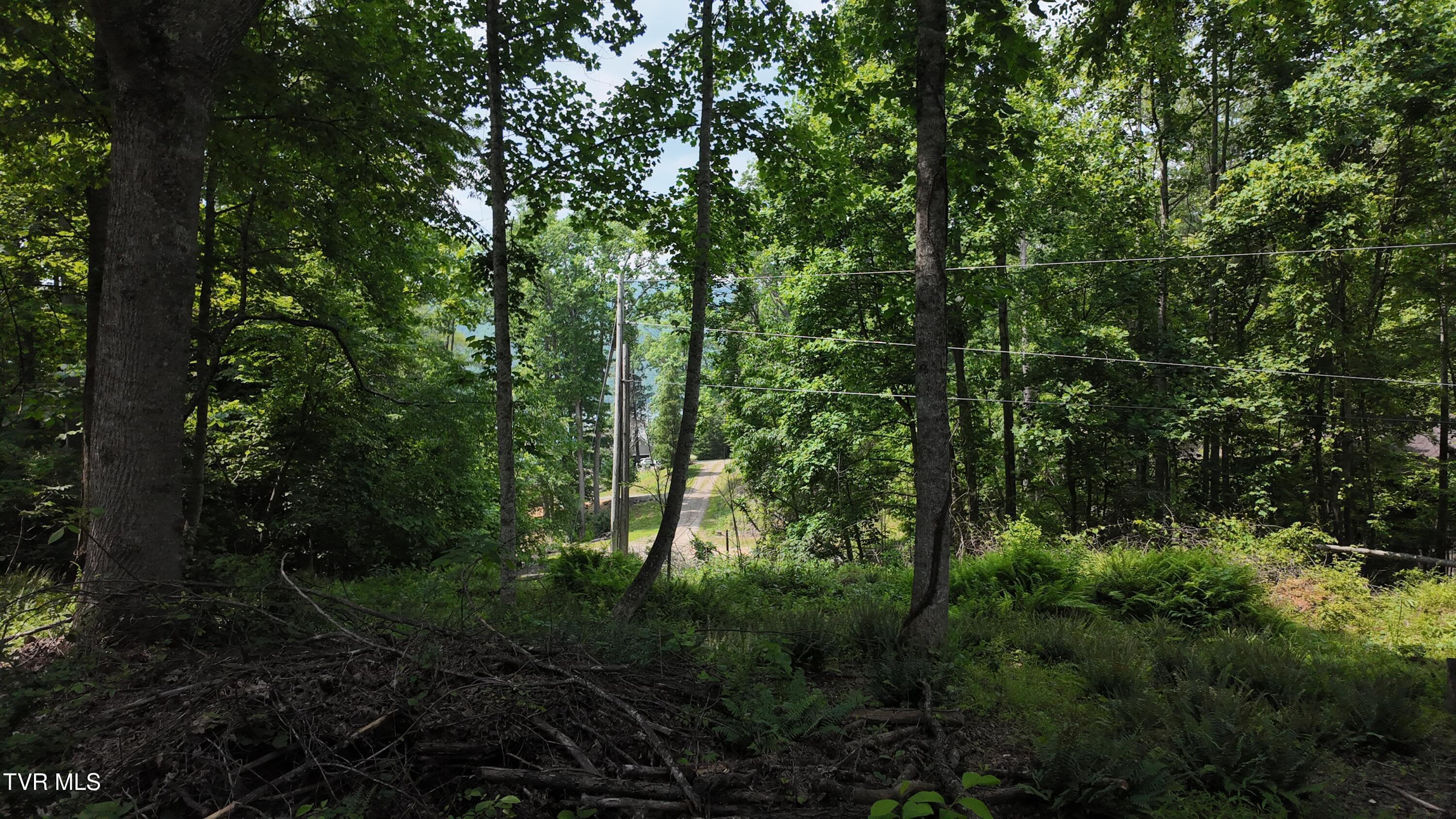 1 Atwood Point Butler, TN 37640 - Photo 40 of 43 dji_mimo_20250604_150548_20250604150548_