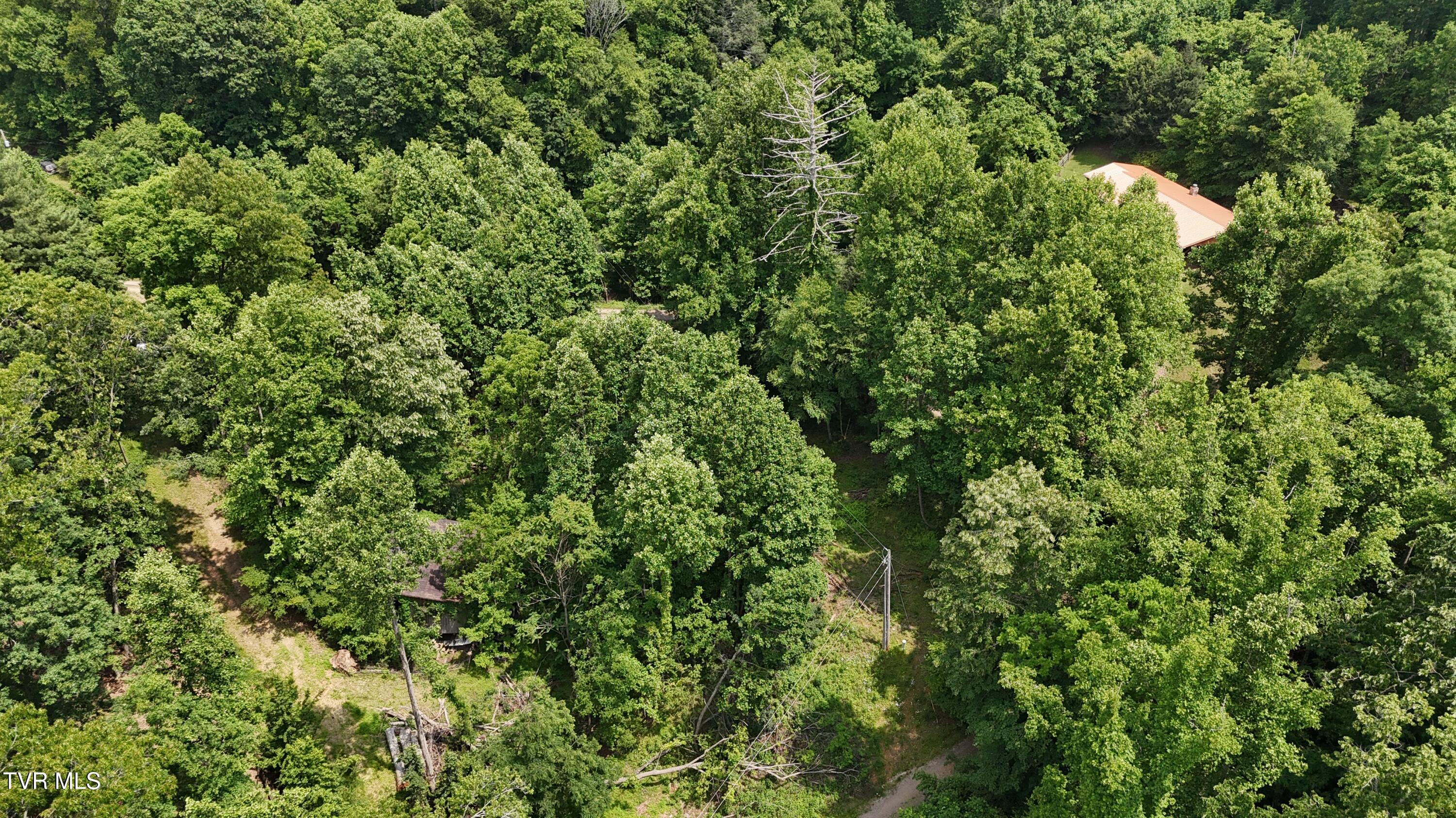 1 Atwood Point Butler, TN 37640 - Photo 4 of 43 dji_fly_20250604_145708_0102_17490637521