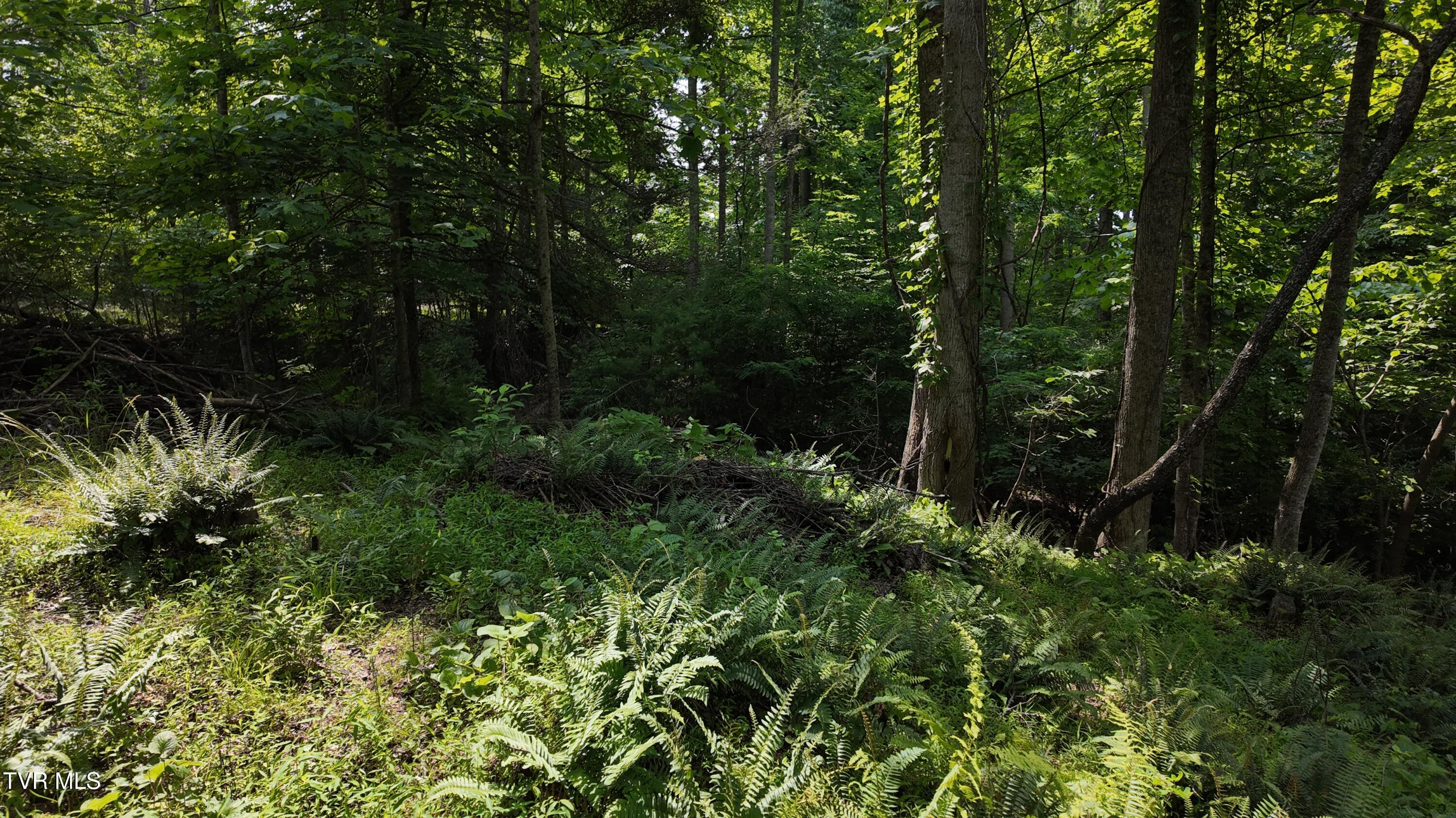 1 Atwood Point Butler, TN 37640 - Photo 41 of 43 dji_mimo_20250604_150530_20250604150529_