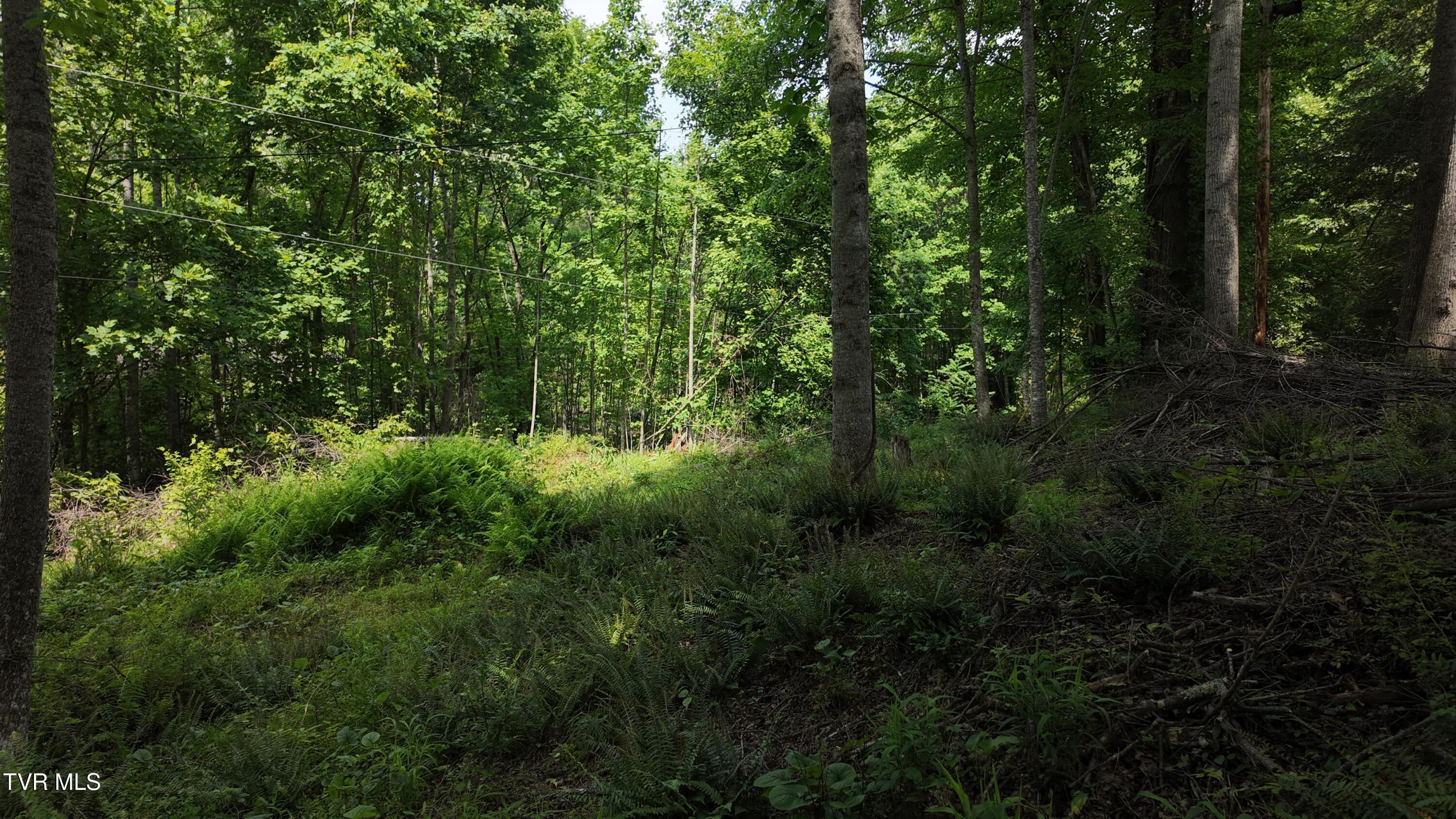 1 Atwood Point Butler, TN 37640 - Photo 42 of 43 dji_mimo_20250604_150520_20250604150521_