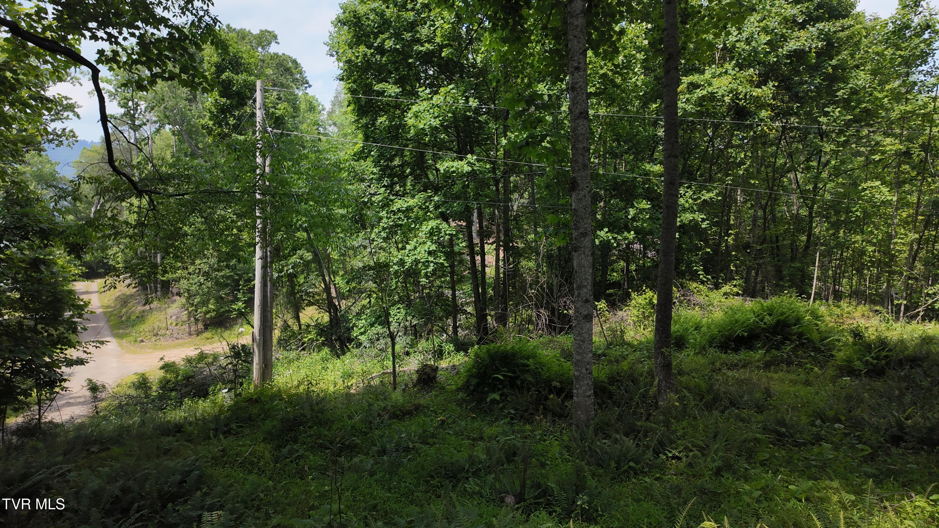 1 Atwood Point Butler, TN 37640 - Photo 43 of 43 dji_mimo_20250604_150512_20250604150511_