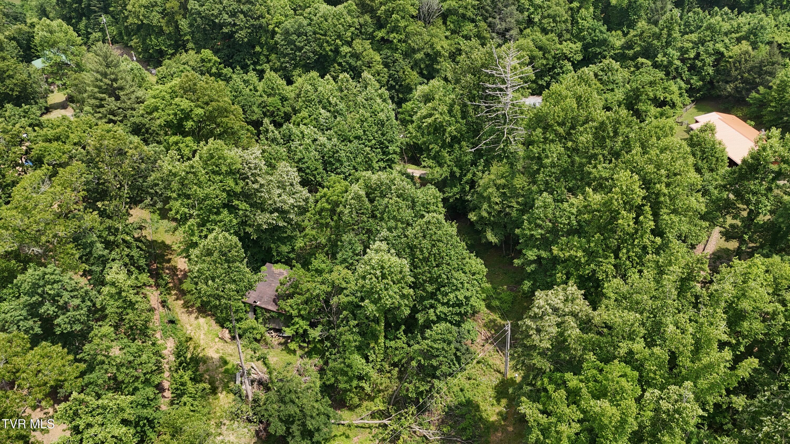 1 Atwood Point Butler, TN 37640 - Photo 5 of 43 dji_fly_20250604_145714_0103_17490637512