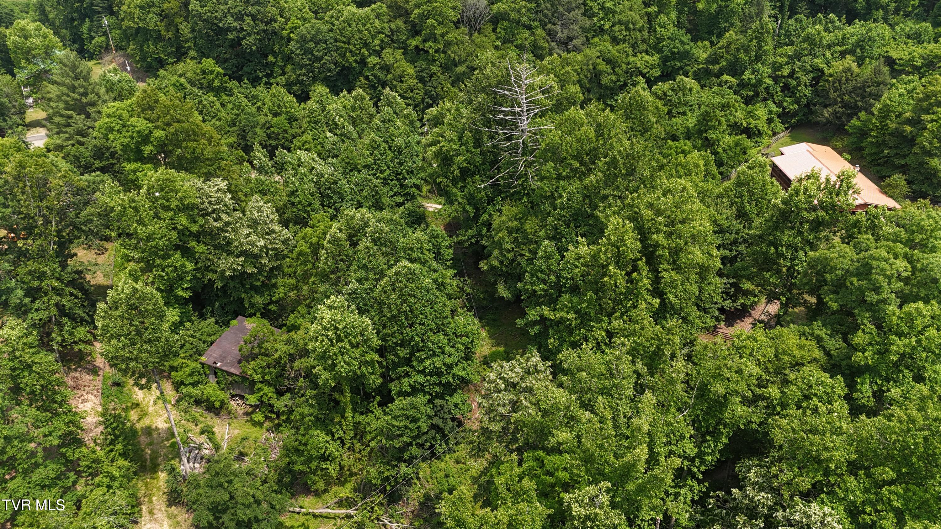 1 Atwood Point Butler, TN 37640 - Photo 6 of 43 dji_fly_20250604_145718_0104_17490637502