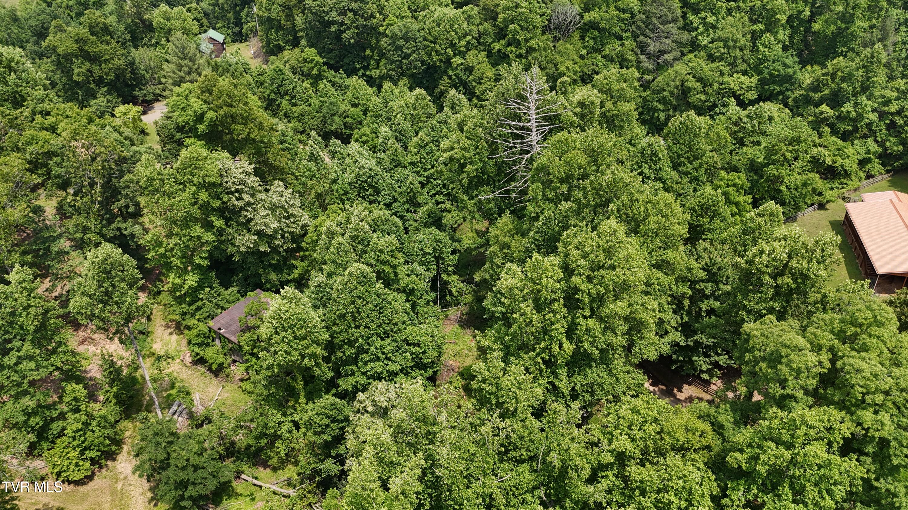 1 Atwood Point Butler, TN 37640 - Photo 7 of 43 dji_fly_20250604_145724_0105_17490637497