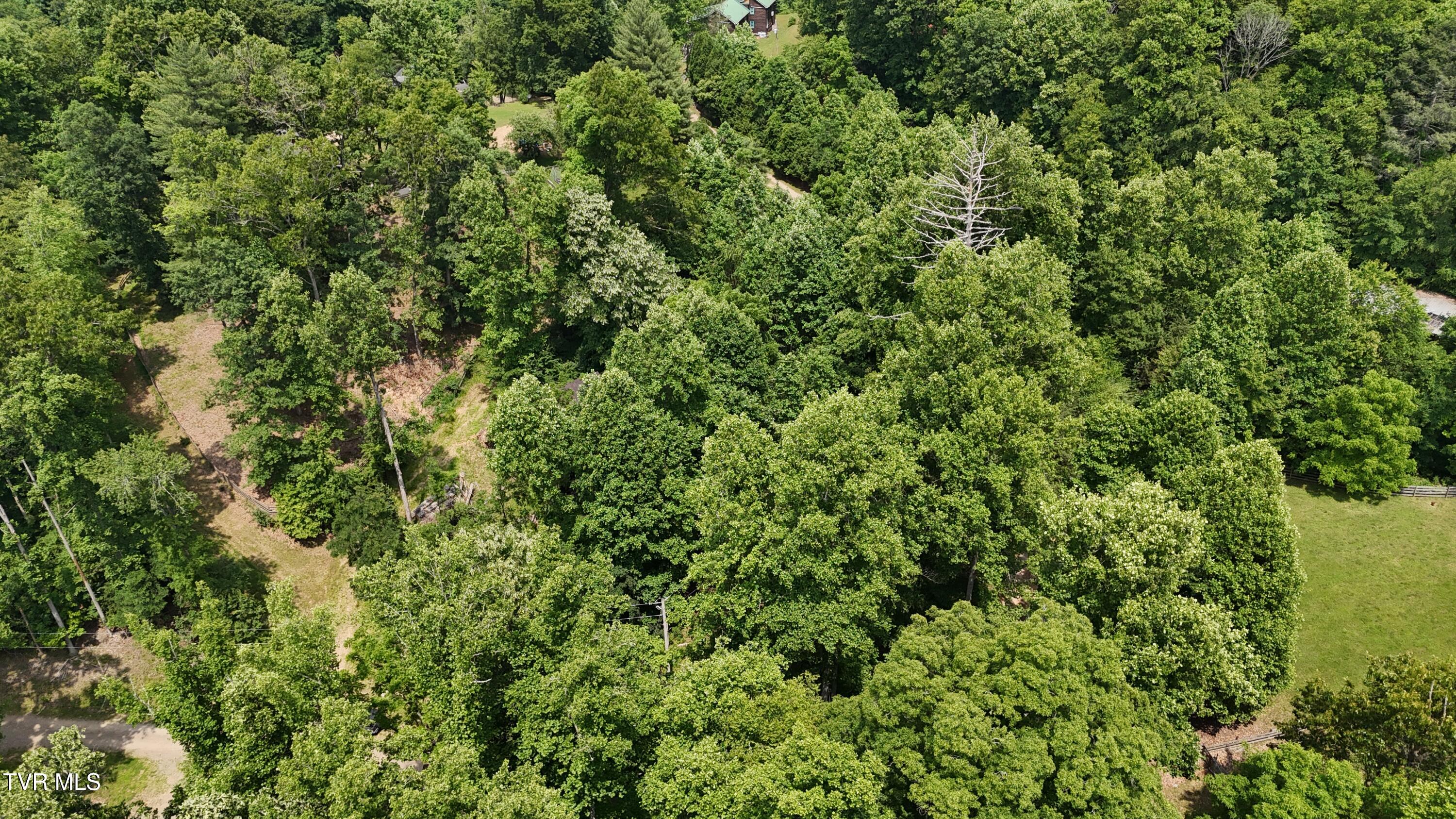 1 Atwood Point Butler, TN 37640 - Photo 8 of 43 dji_fly_20250604_145732_0106_17490637483