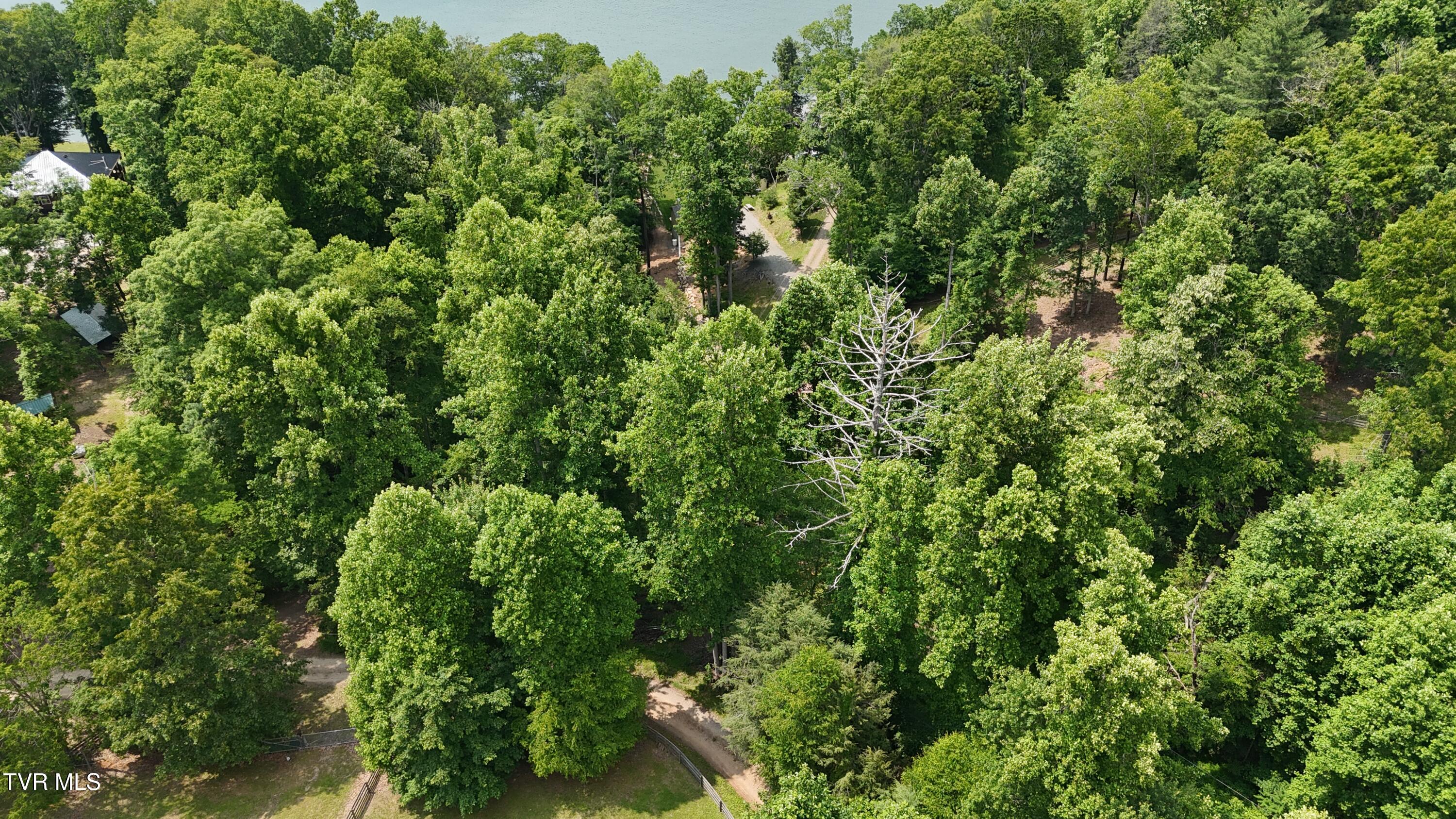 1 Atwood Point Butler, TN 37640 - Photo 10 of 43 dji_fly_20250604_145752_0108_17490637470