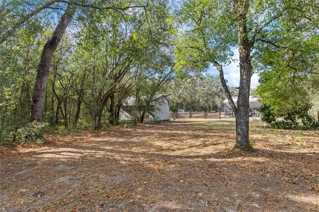 a view of outdoor space with trees