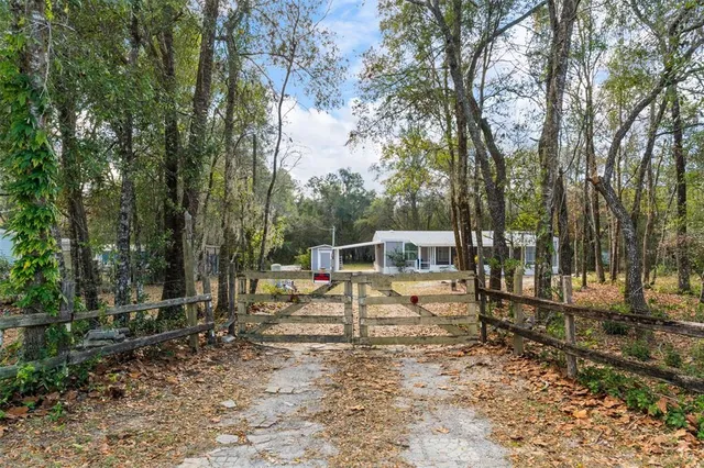 a park view with a bench