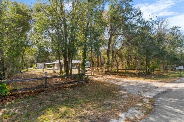 a view of a yard with large trees
