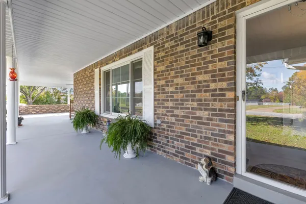 a view of backyard with small garden and plants